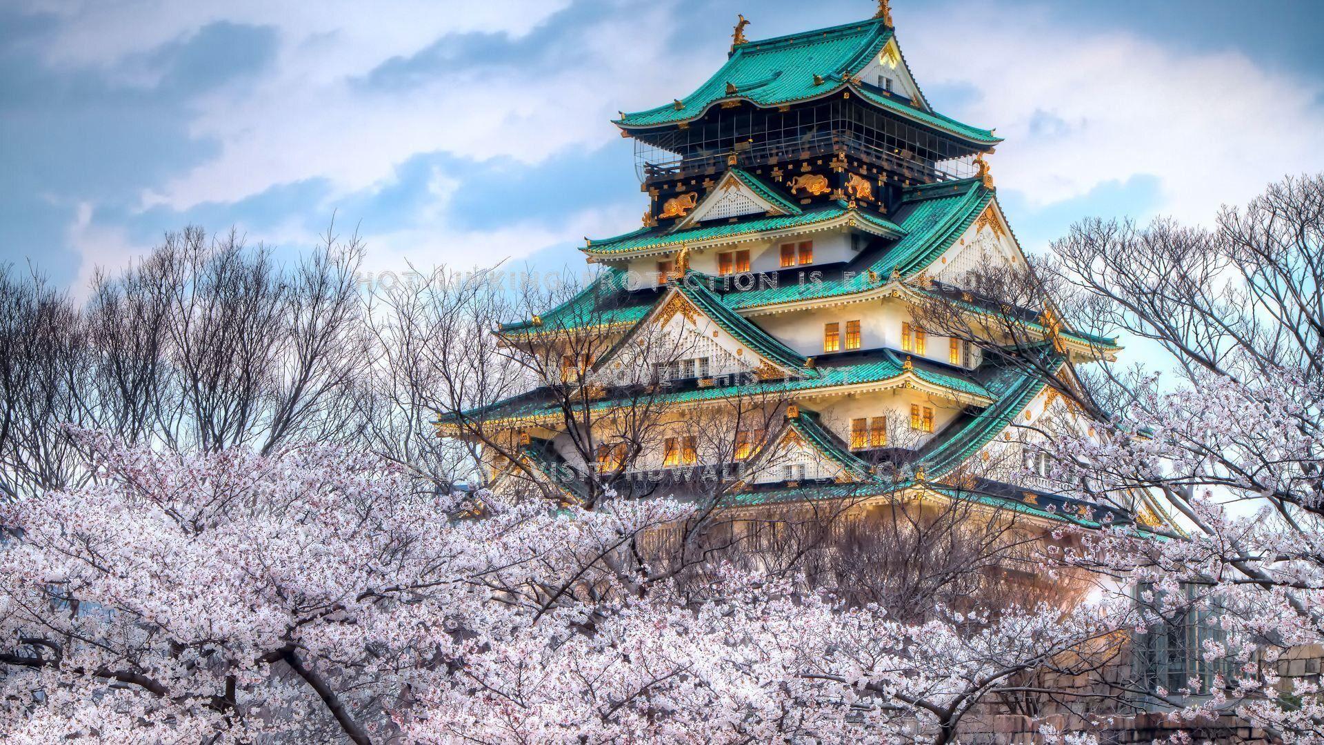 1920x1080 beautiful japanese temple pagoda cherry