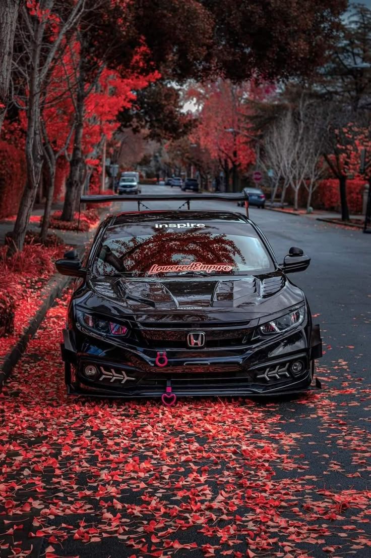 736x1105 Honda Civic Si. Первый автомобиль, Дрифт-автомобиль, Покраска автомобилей