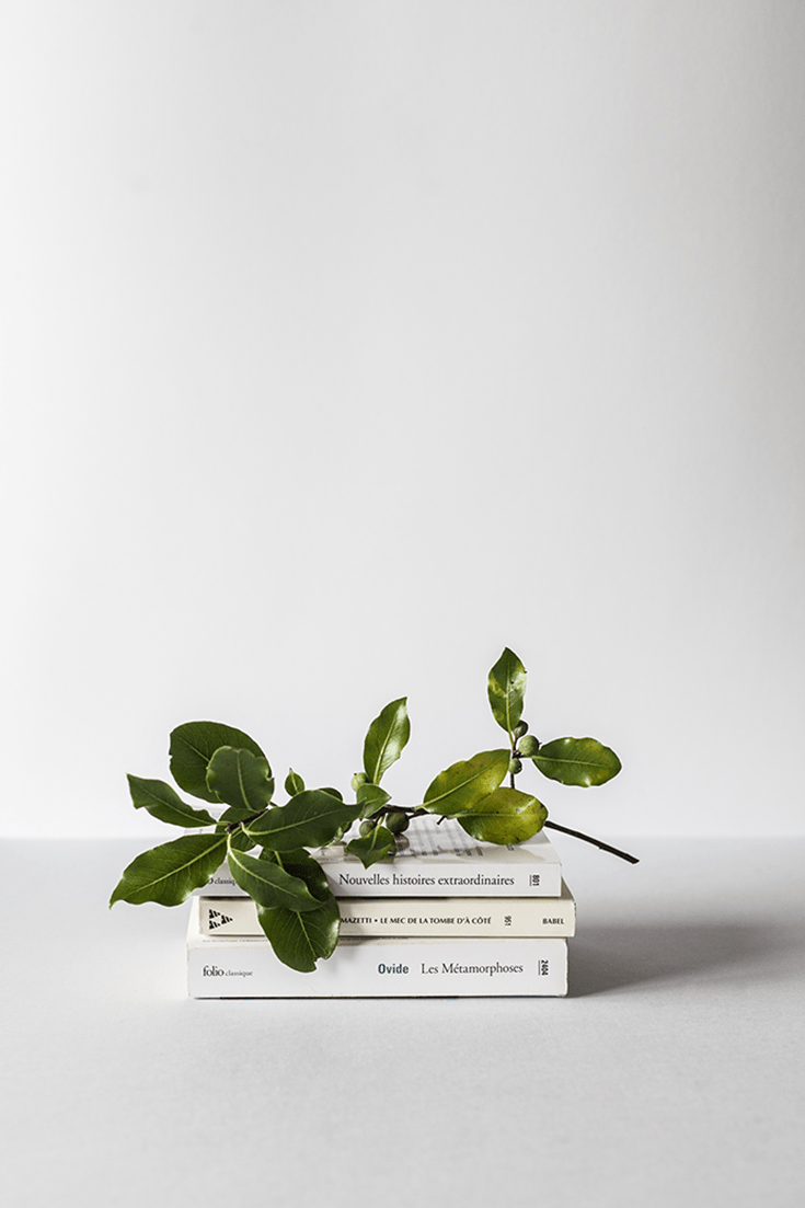735x1103 The 28 best Anne Lamott quotes on books and writing