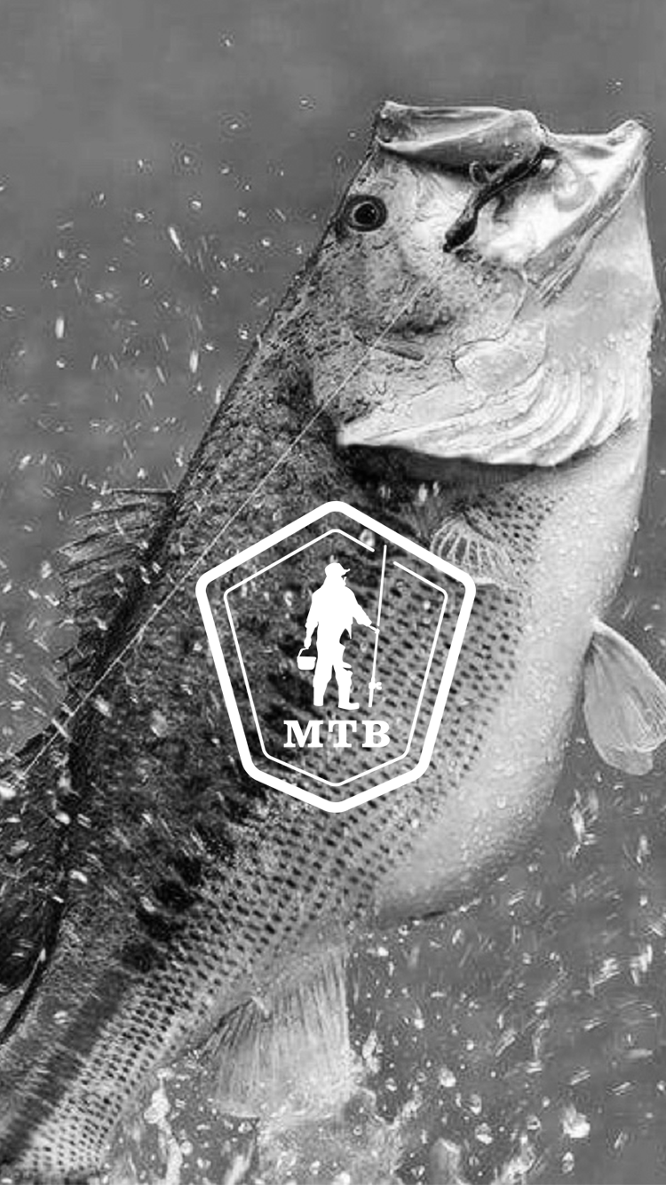 Fly Fishing Wallpaper for Desktop and Mobiles iPhone 6  6S Plus  HD  Wallpaper  Wallpapersnet