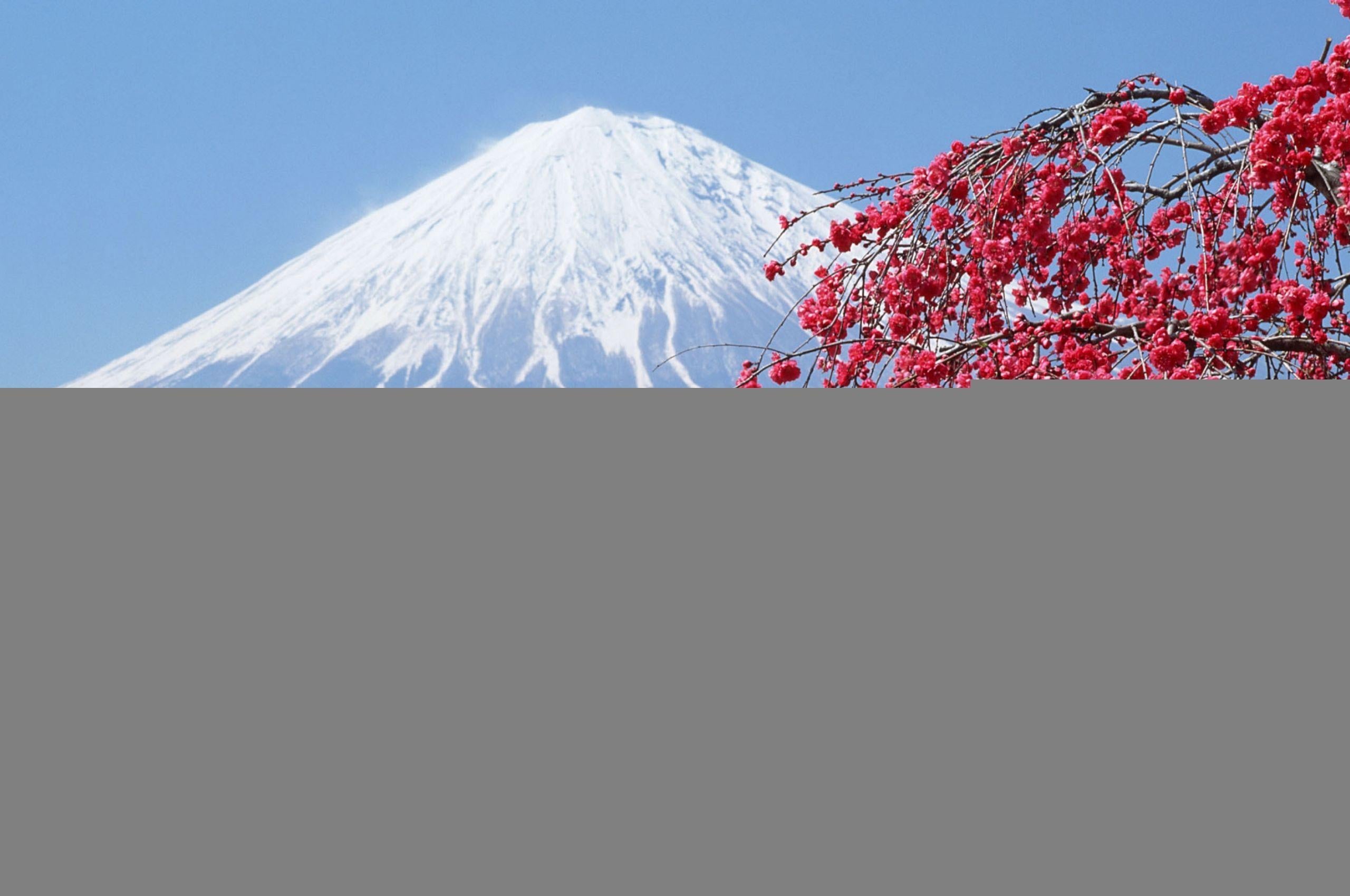 2560x1700 Free download in japan Japan Sakura Mountains Wallpaper Background 4K Ultra HD [3840x2160] for your Desktop, Mobile & Tablet. Explore Japan Wallpaper 4K. Japanese Desktop Wallpaper, 4K Nature Wallpaper