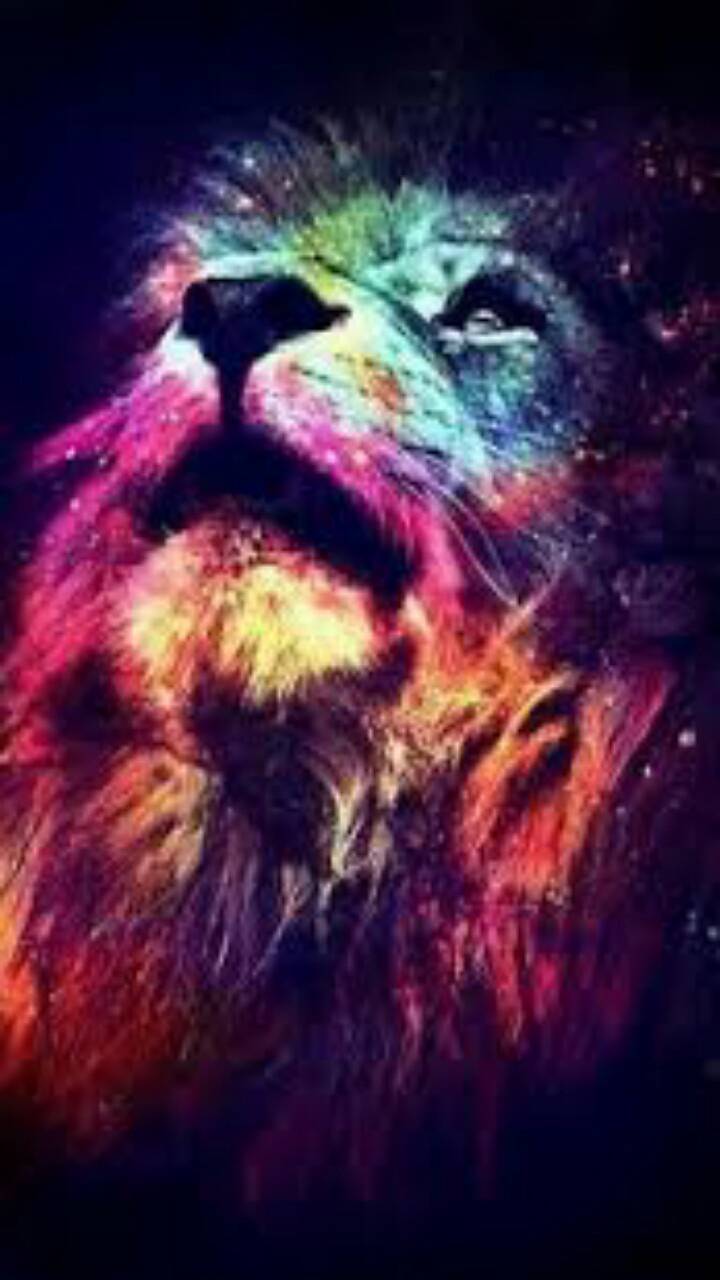 Scary Lion Wallpapers - Top Free Scary Lion Backgrounds - WallpaperAccess