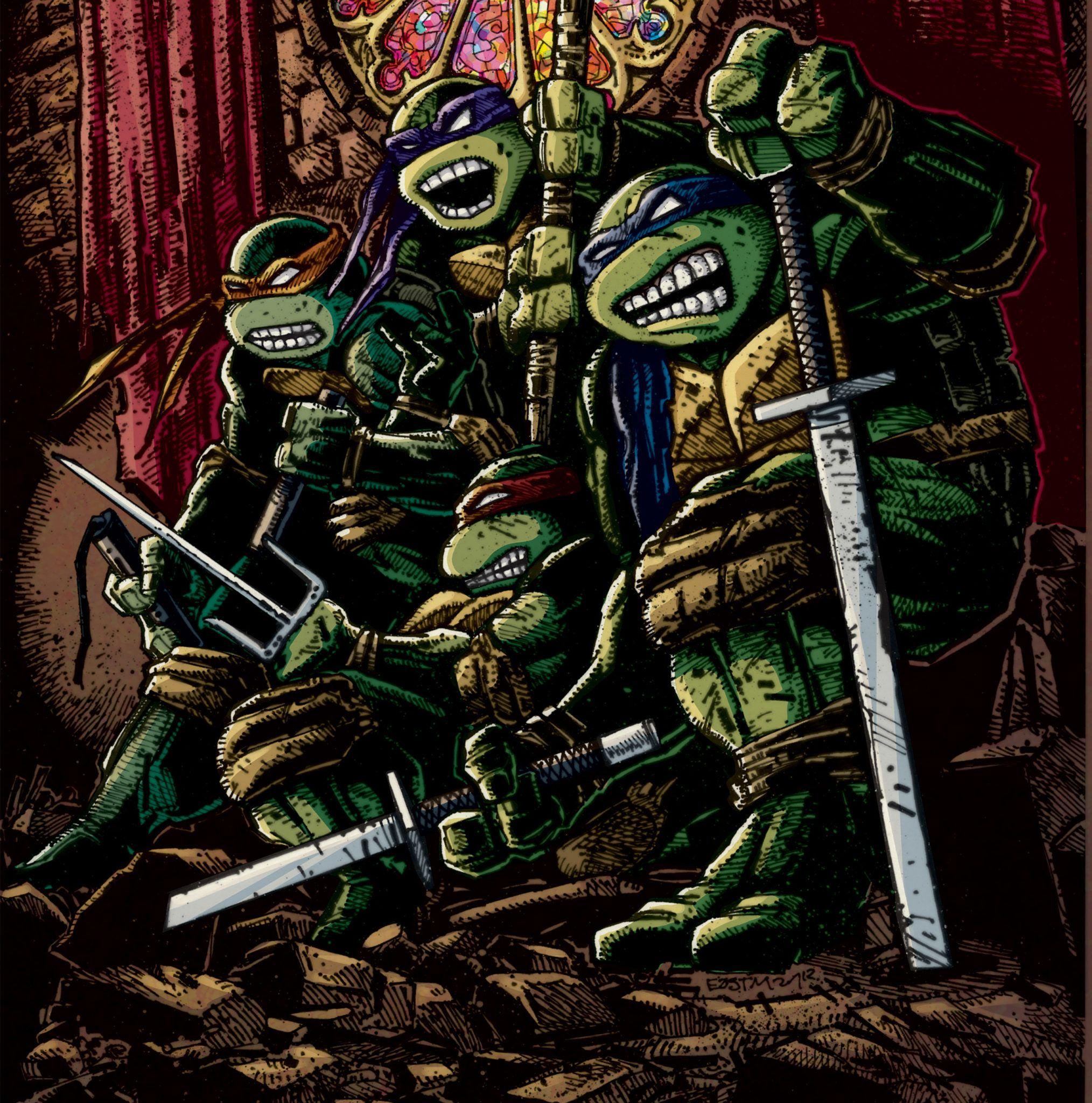 2028x2048 Comics Teenage Mutant Ninja Turtles wallpaper Desktop, Phone
