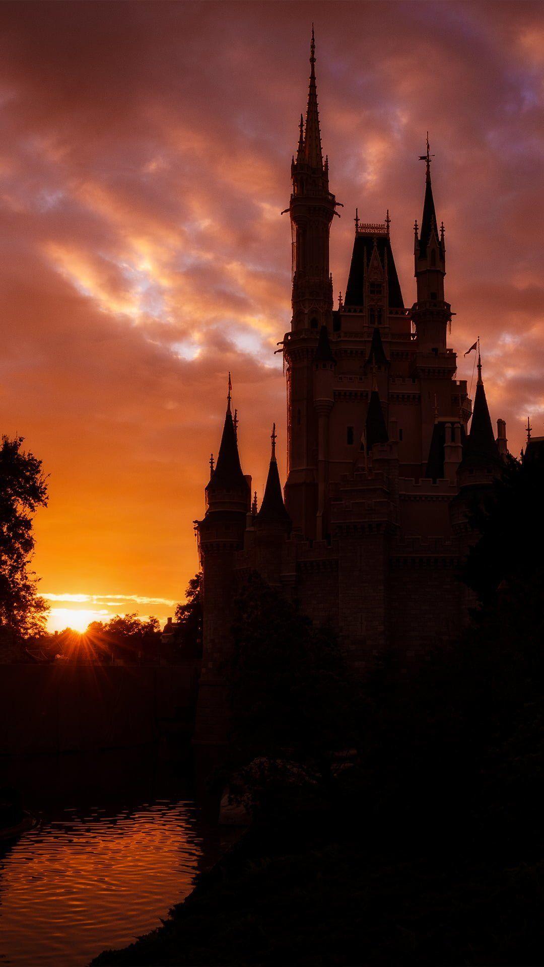 1080x1920 Walt Disney Wallpaper