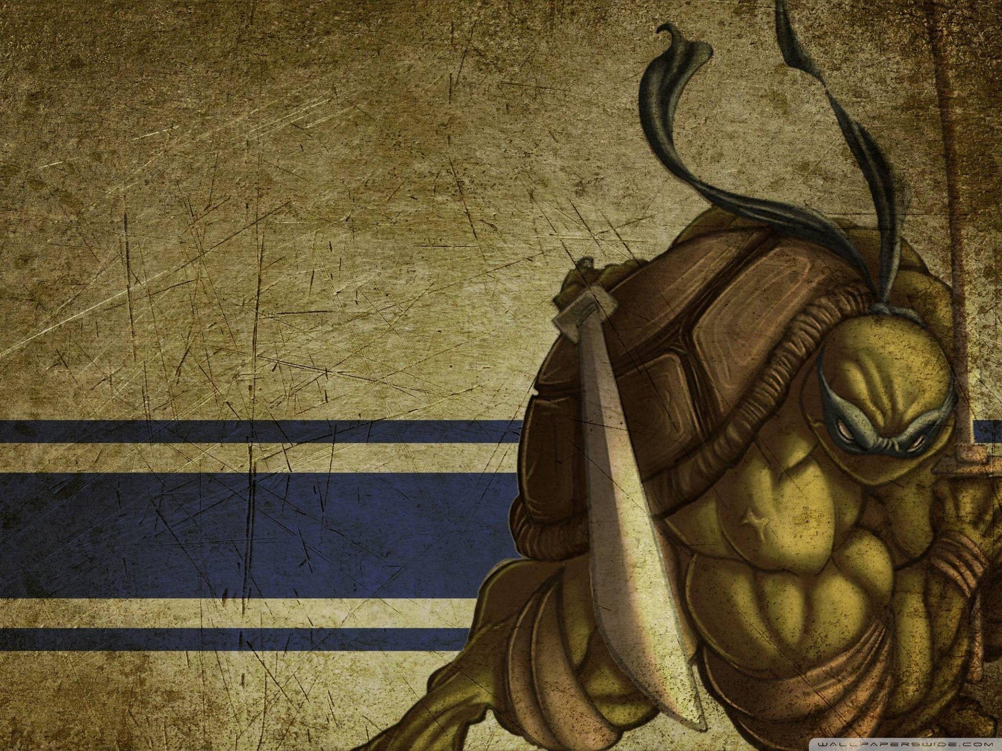 2048x1536 Leonardo Teenage Mutant Ninja Turtles Ultra HD Desktop Background Wallpaper for