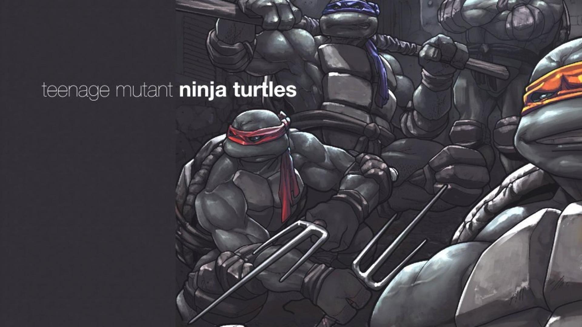 1920x1080 Teenage Mutant Ninja Turtles Wallpaper HD Creative Teenage