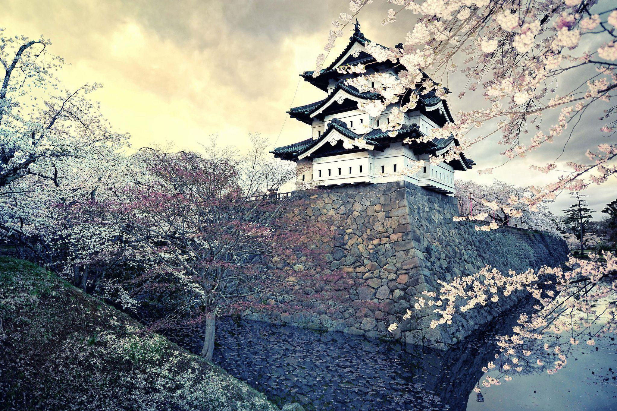 2048x1363 city, Japan, spring, sakura wallpaper desktop background