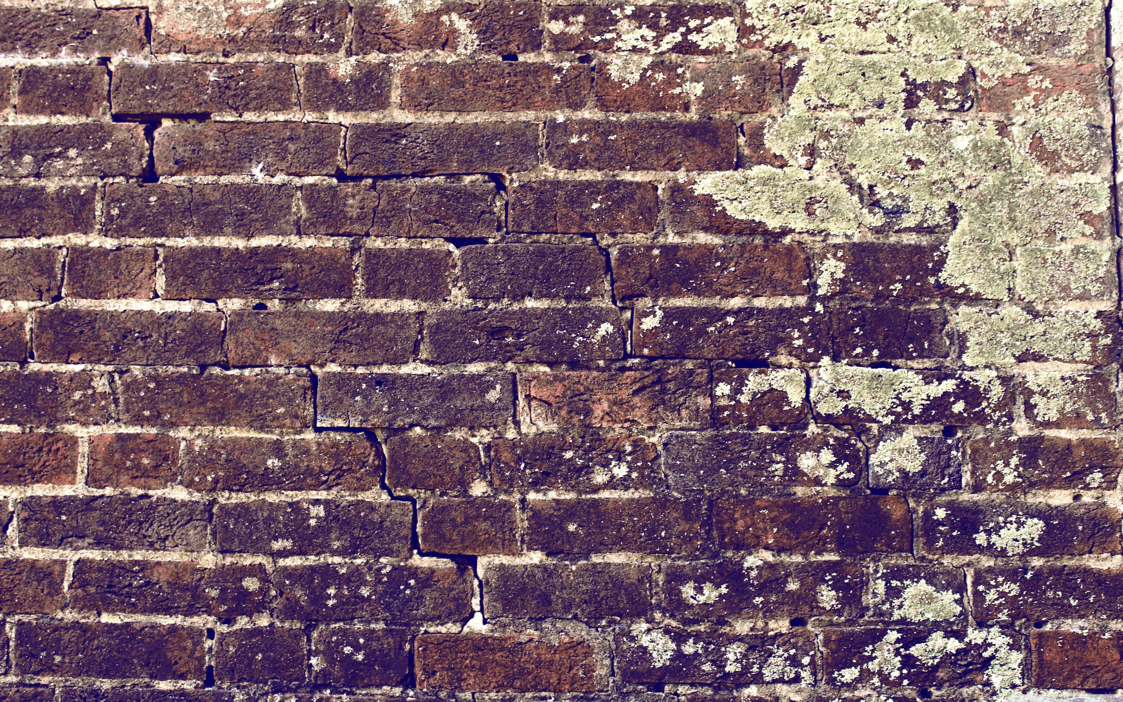 3840x2400 Brick Wall Ultra HD Desktop Background Wallpaper for 4K UHD TV : Multi Display, Dual Monitor