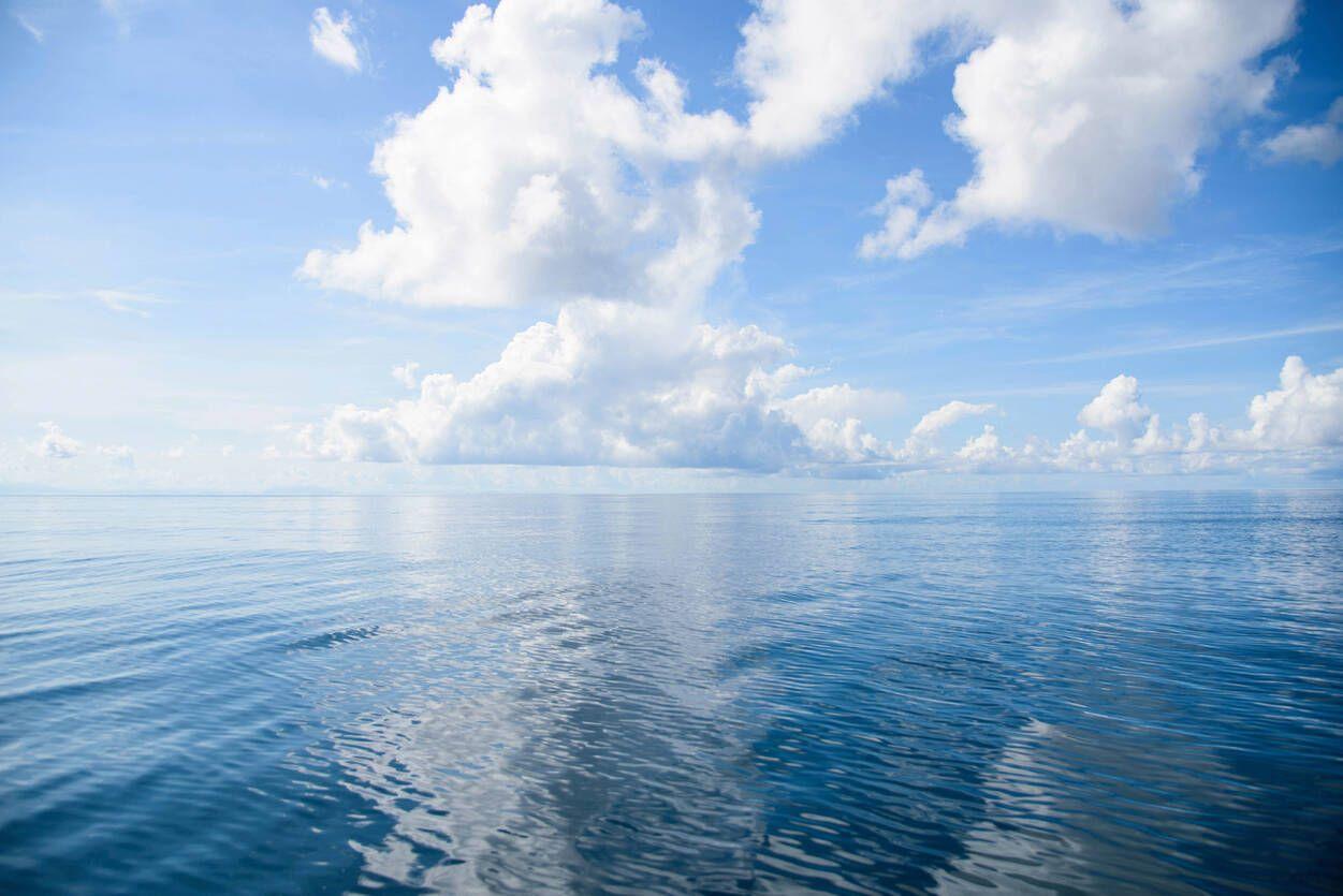 1251x835 Livingwalls Photo wallpaper «Open Sea» 470695