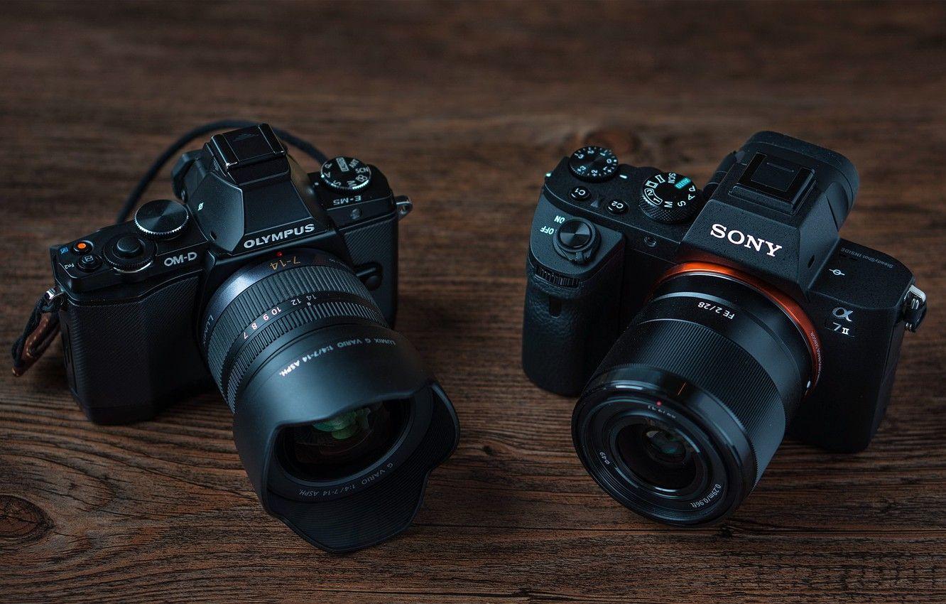 SONY A7 III Review — Live Art Love