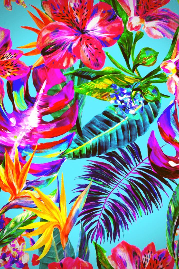 Tropical Art Wallpapers Top Free Tropical Art Backgrounds Wallpaperaccess 5003