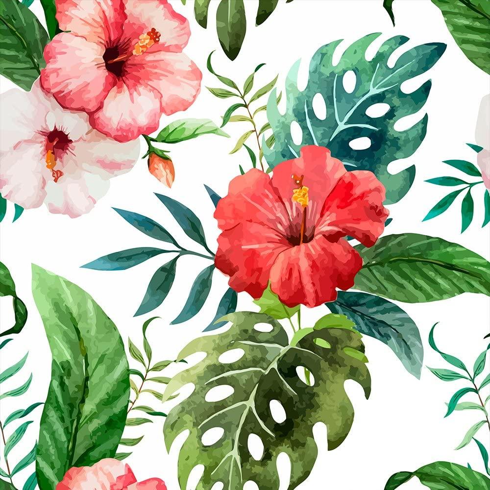 1000x1000 Murando Wallpaper Tropical Leaves Monstera 10m / 393.7 Roll Of Fleece Wall Paper Non Woven Premium Art Print Design Decorative Panel Photo Picture Image Picture Image Flowers B B 0291 J B: Amazon.co.uk: DIY & Tools