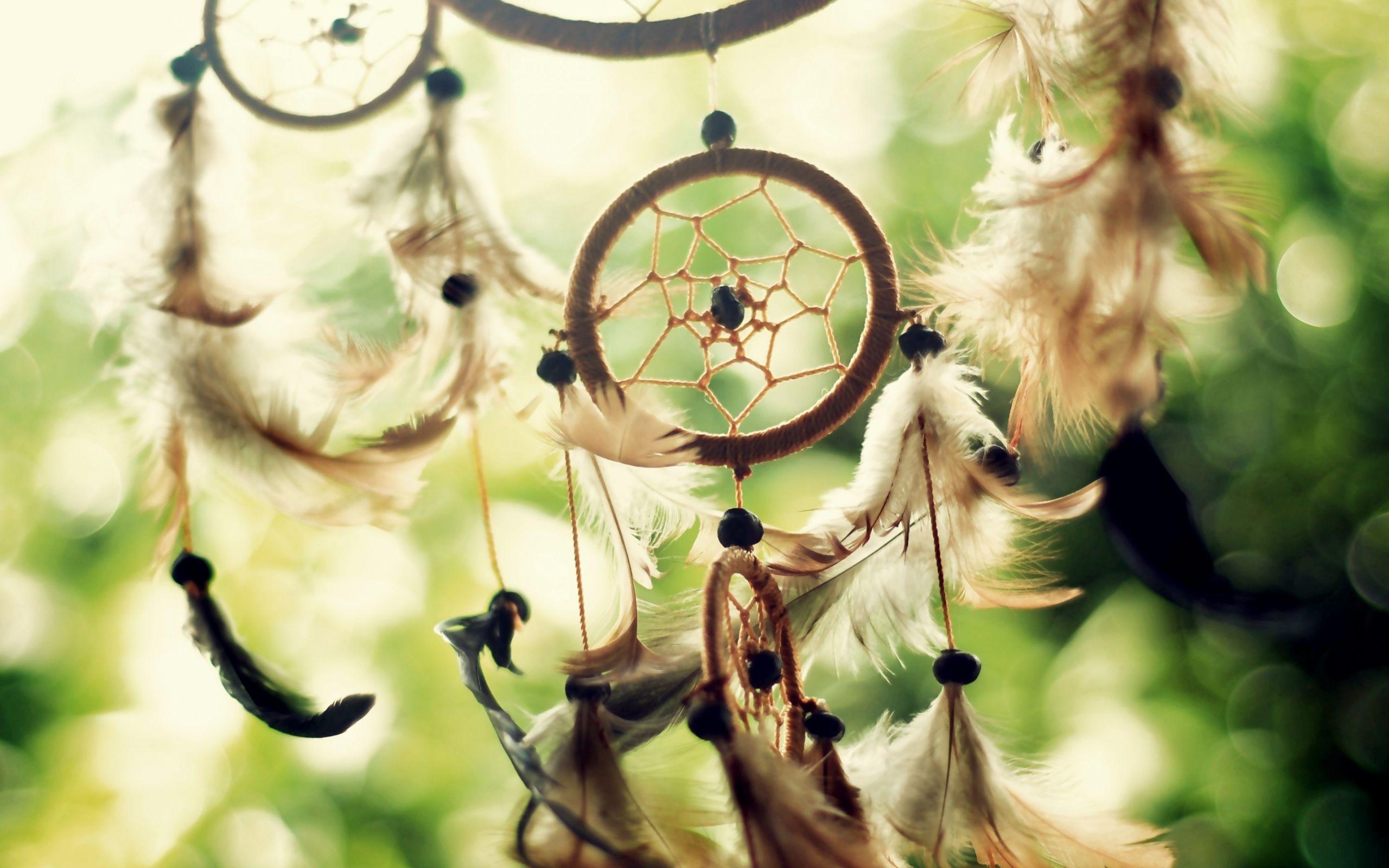 2560x1600 Dreamcatcher White Earrings Wallpaper
