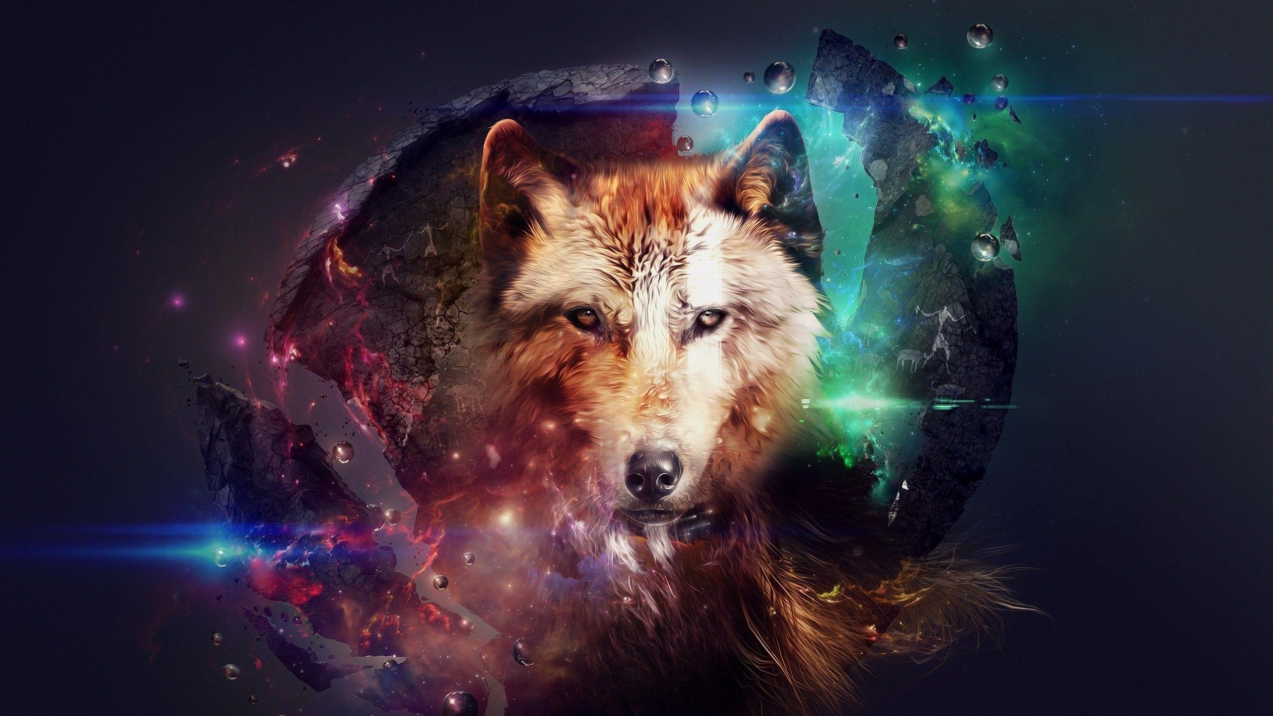 Rainbow Wolf Wallpapers Top Free Rainbow Wolf Backgrounds Wallpaperaccess