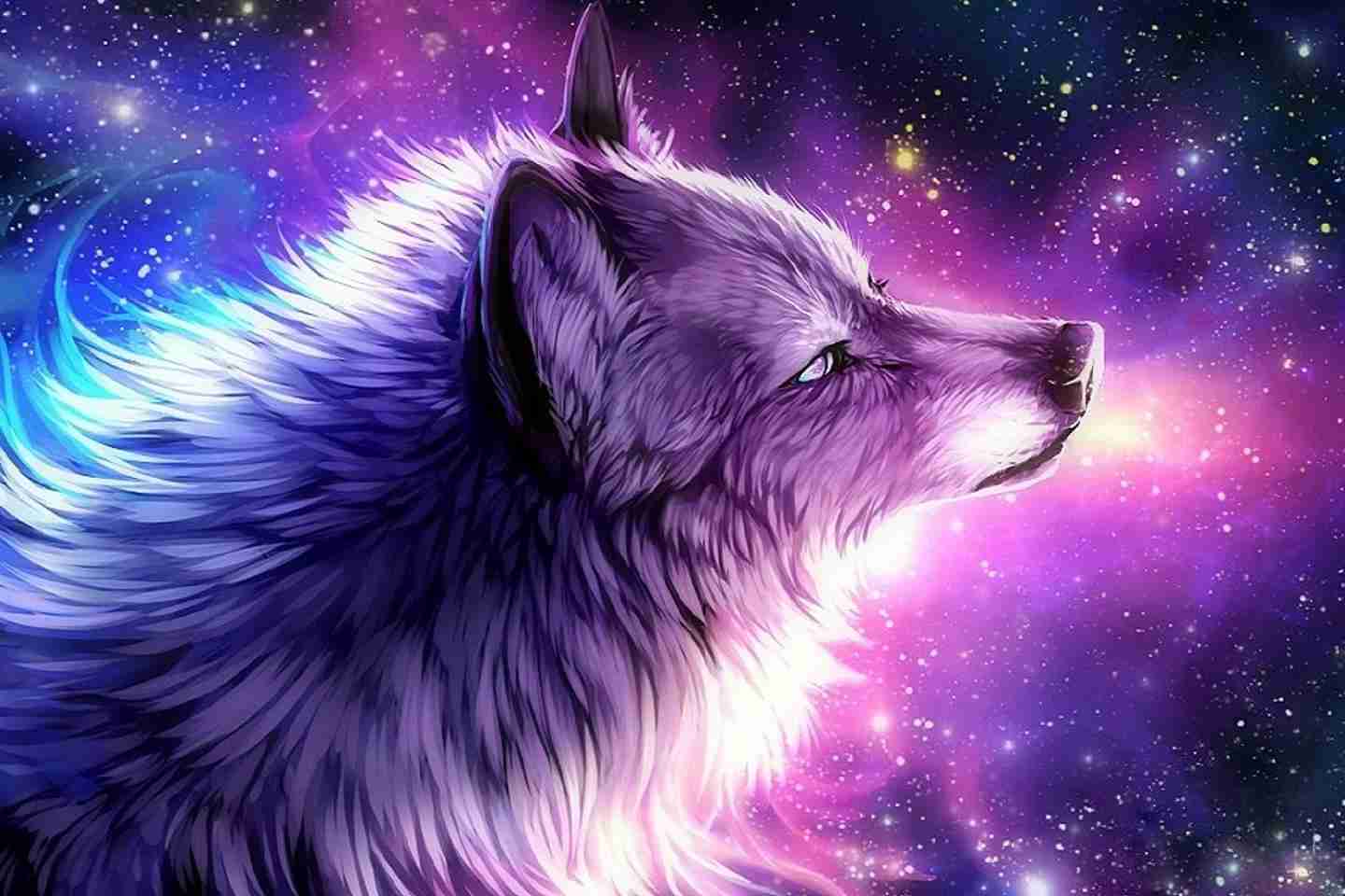 1440x960 Wolf Galaxy