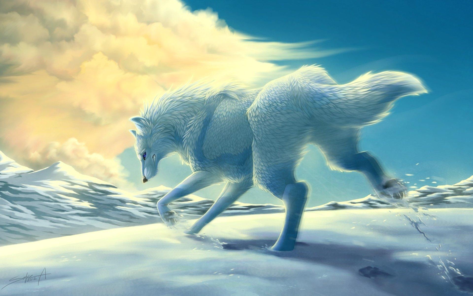 Rainbow Wolf Wallpapers - Top Free Rainbow Wolf Backgrounds ...