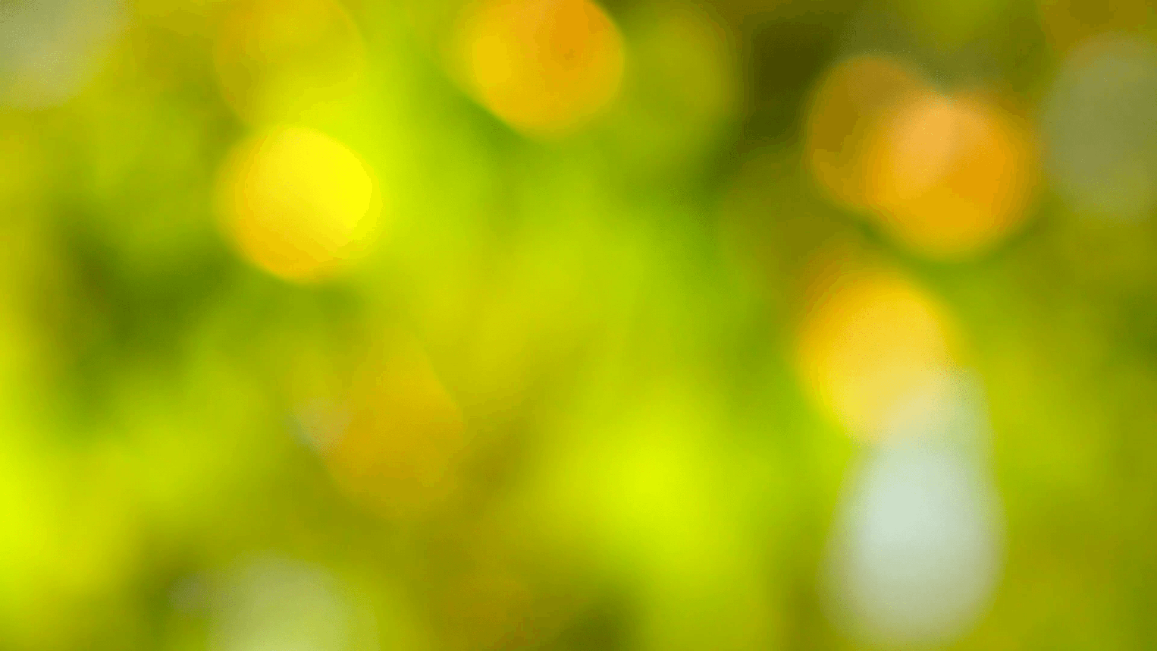 Nature Blur Wallpapers - Top Free Nature Blur Backgrounds - WallpaperAccess