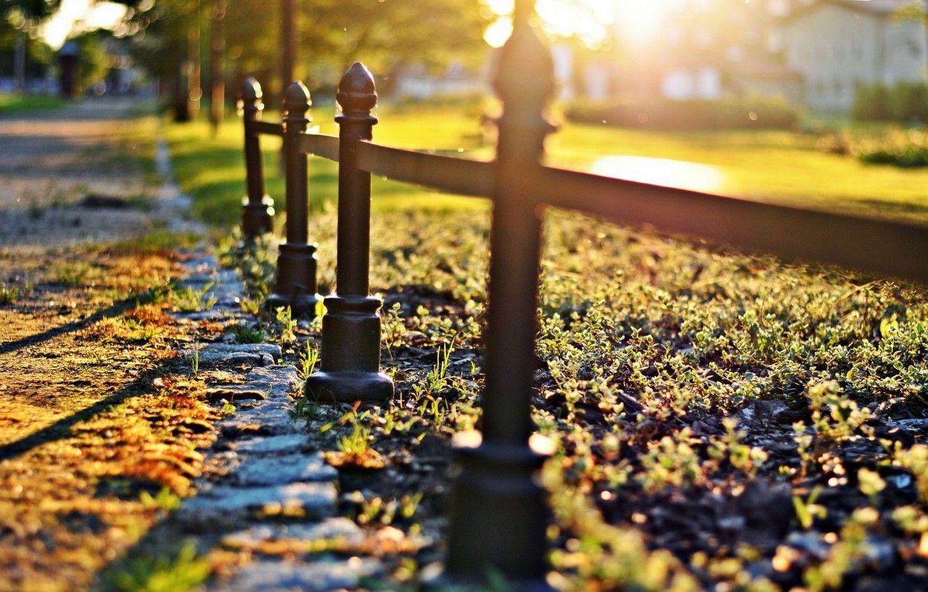 1332x850 Wallpaper greens, grass, the sun, macro, trees, nature, background, widescreen, Wallpaper, the fence, blur, fence, the fence, wallpaper, nature, widescreen image for desktop, section природа