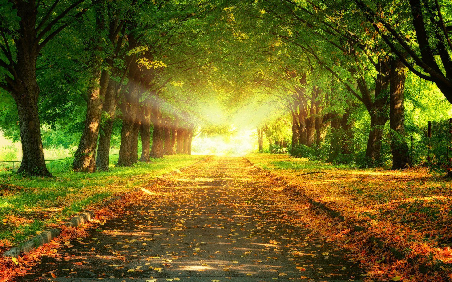 1920x1200 Hd Blur Wallpaper