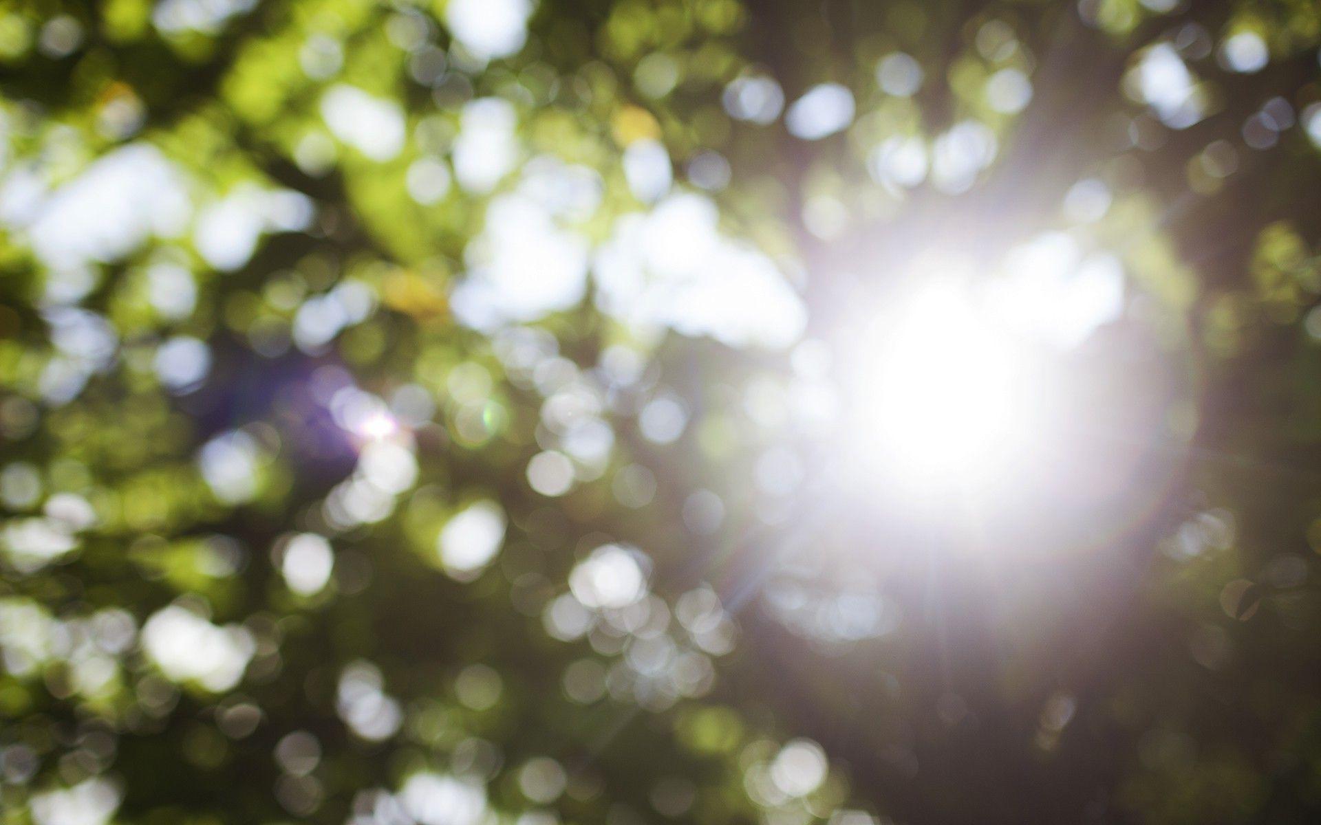 1920x1200 Bokeh Blur the Background. Bokeh Wallpaper, Wisteria Bokeh Desktop Wallpaper and Bokeh Background Pastel