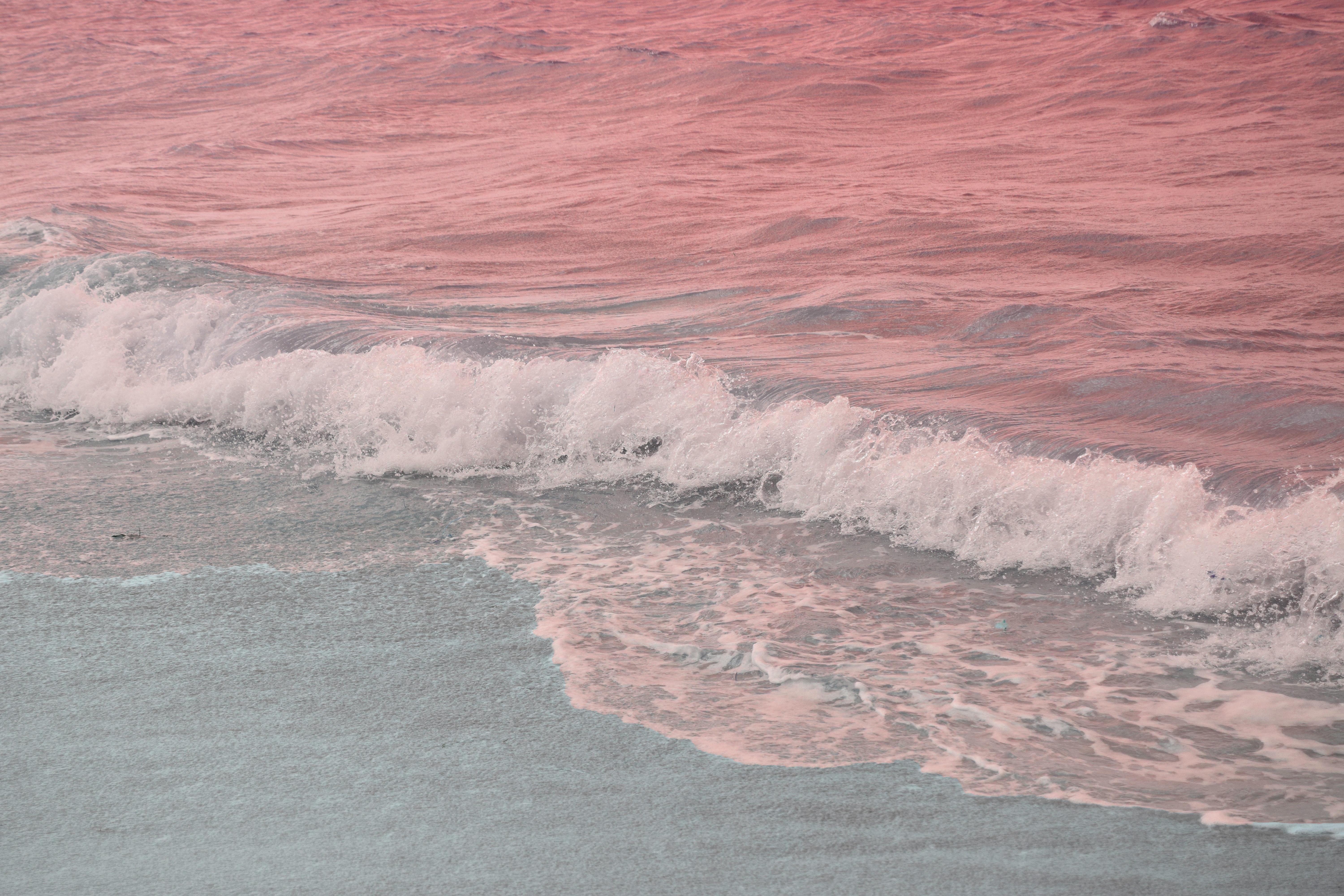 Hình nền thẩm mỹ biển hồng 6000x4000