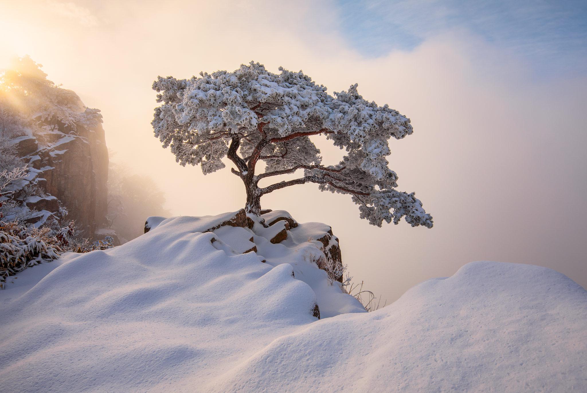 2048x1373 South Korea December Winter, HD Nature, 4k Wallpaper, Image, Background, Photo and Picture