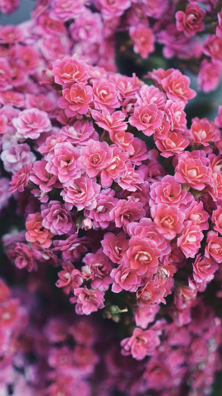 736x1308 Wallpaper To Style Your New Gold iPhone Xs