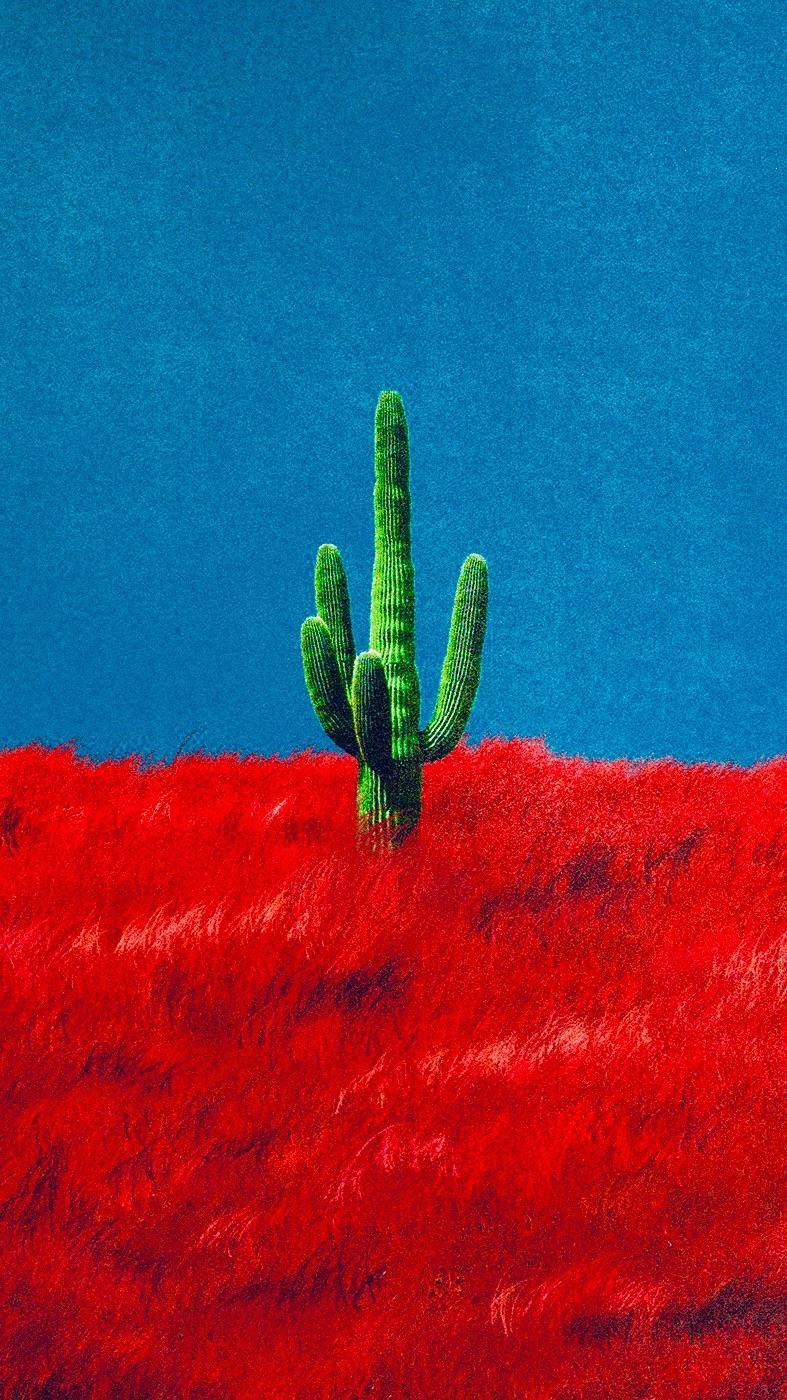 cactus travis scott