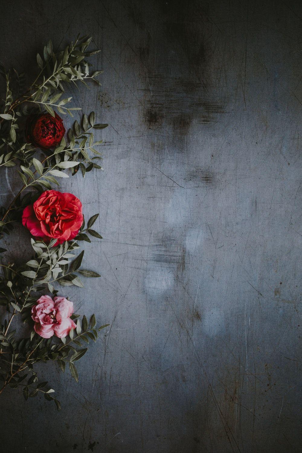 1000x1502 Cute Wallpaper: Free HD Download [HQ]