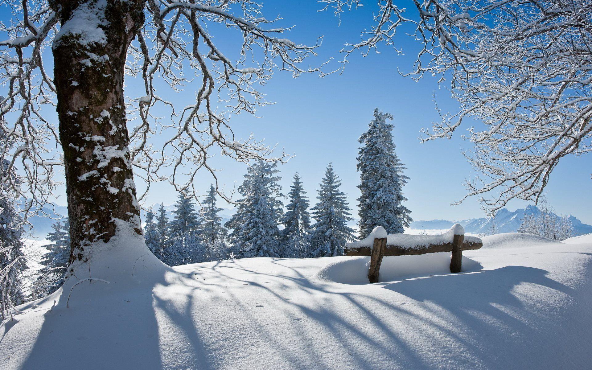 1920x1200 Gorgeous HD Winter Wallpaper