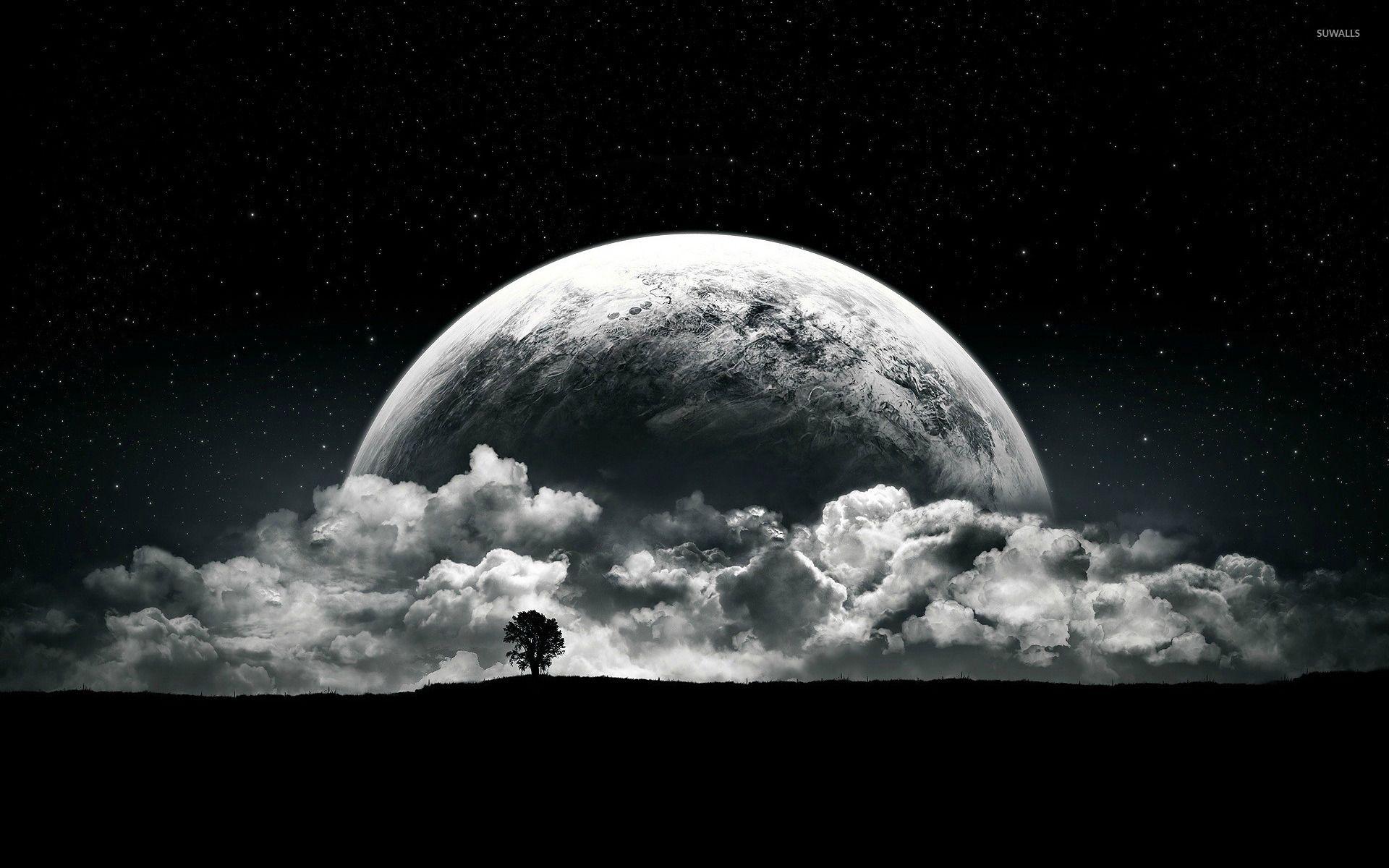1920x1200 Tree and Moonrise wallpaper wallpaper