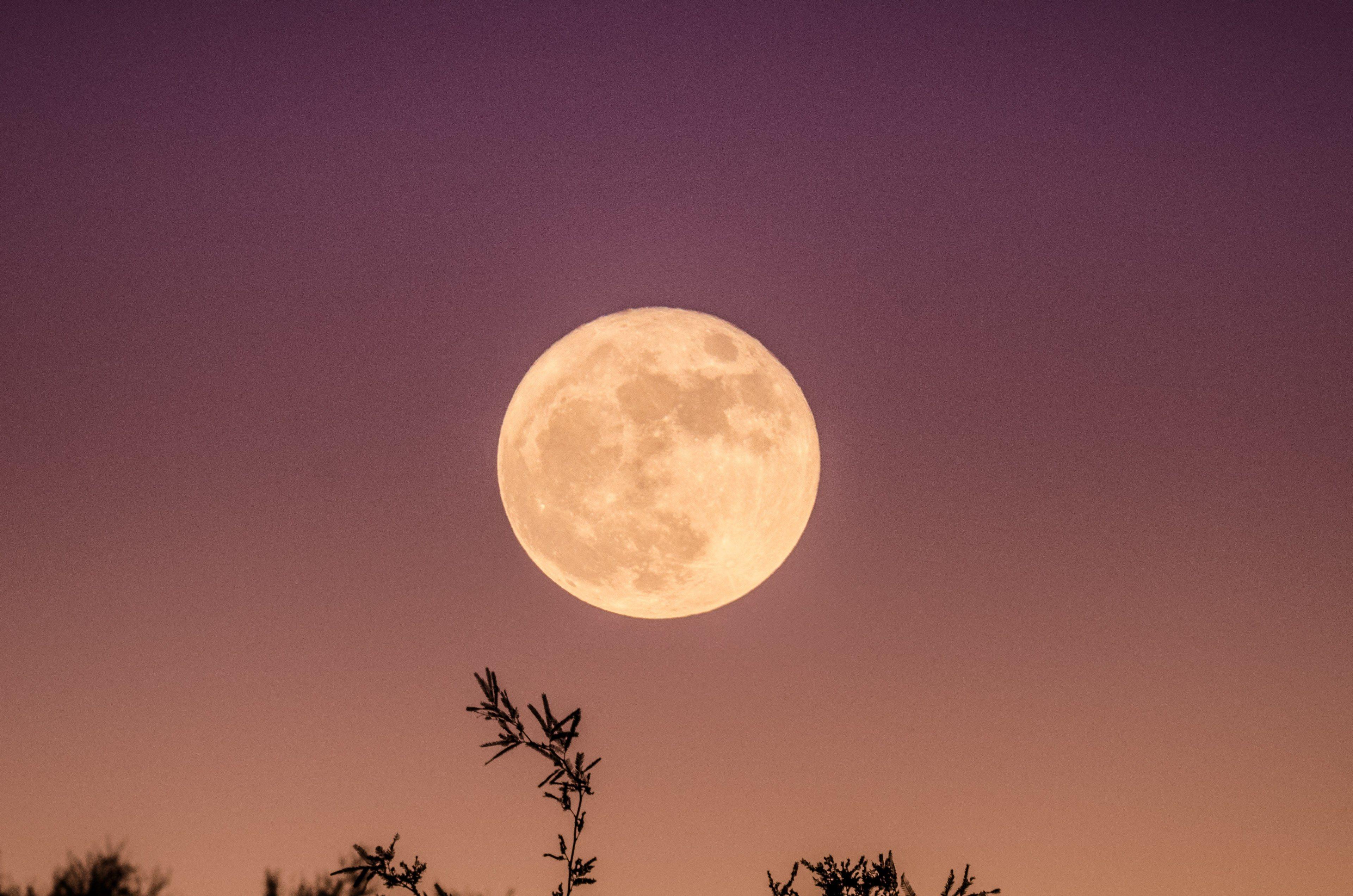 Moonrise Wallpapers - Top Free Moonrise Backgrounds - WallpaperAccess