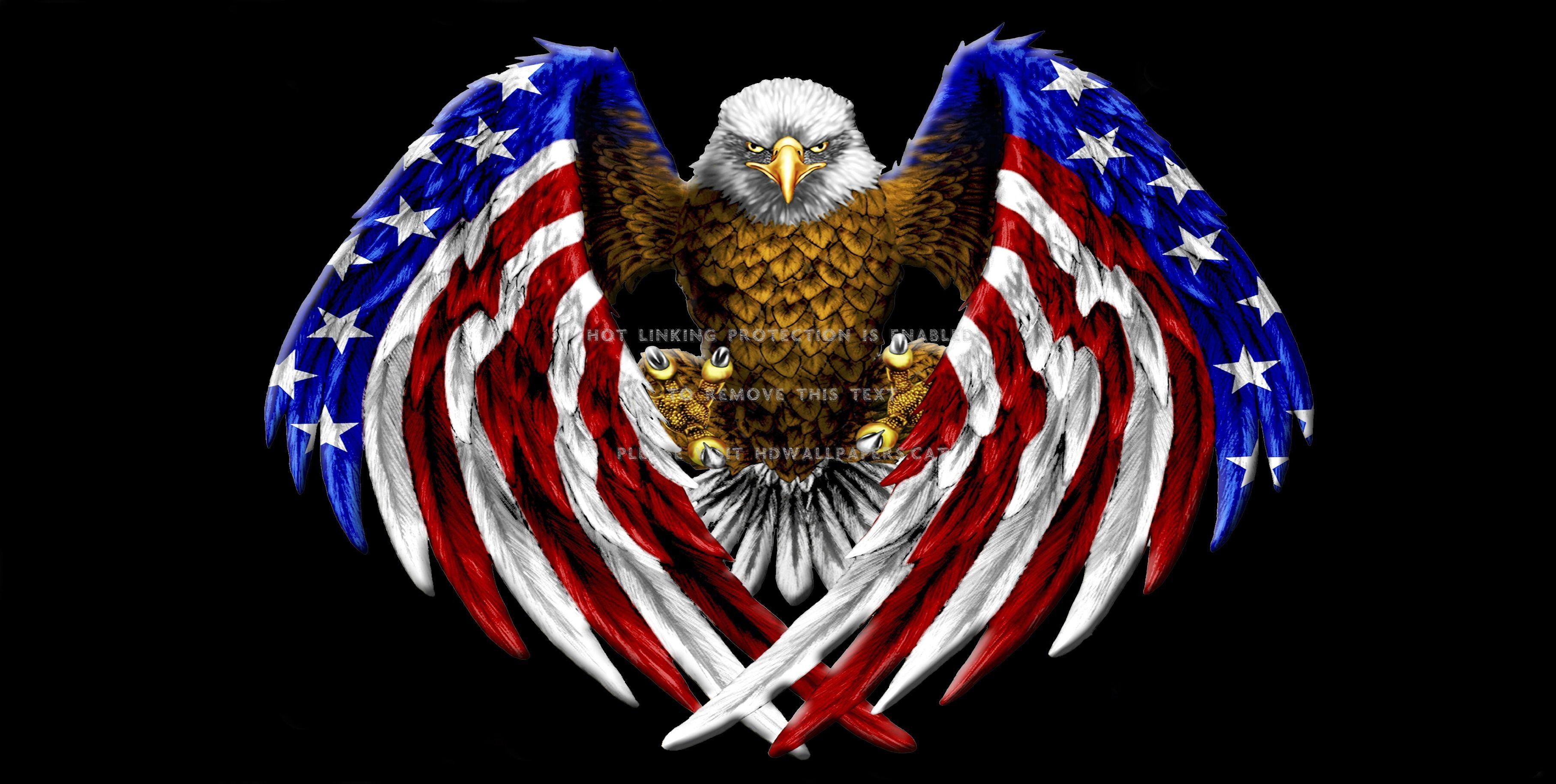 American Eagle HD Wallpapers - Top Free American Eagle HD Backgrounds ...