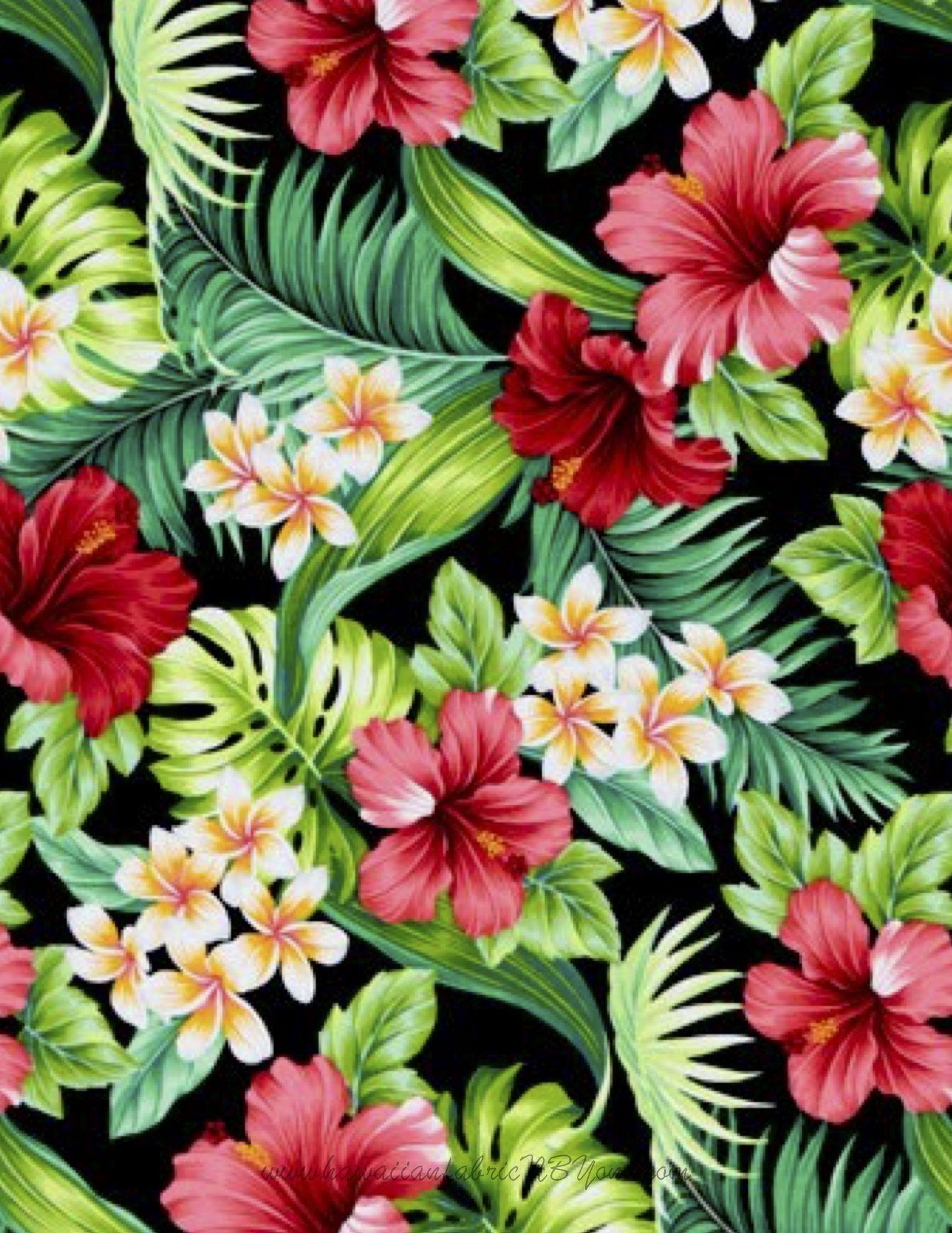 Tropical Flowers Wallpapers  Wallpaper Cave