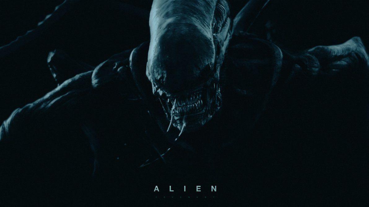 1191x670 Alien Covenant 2K hình nền