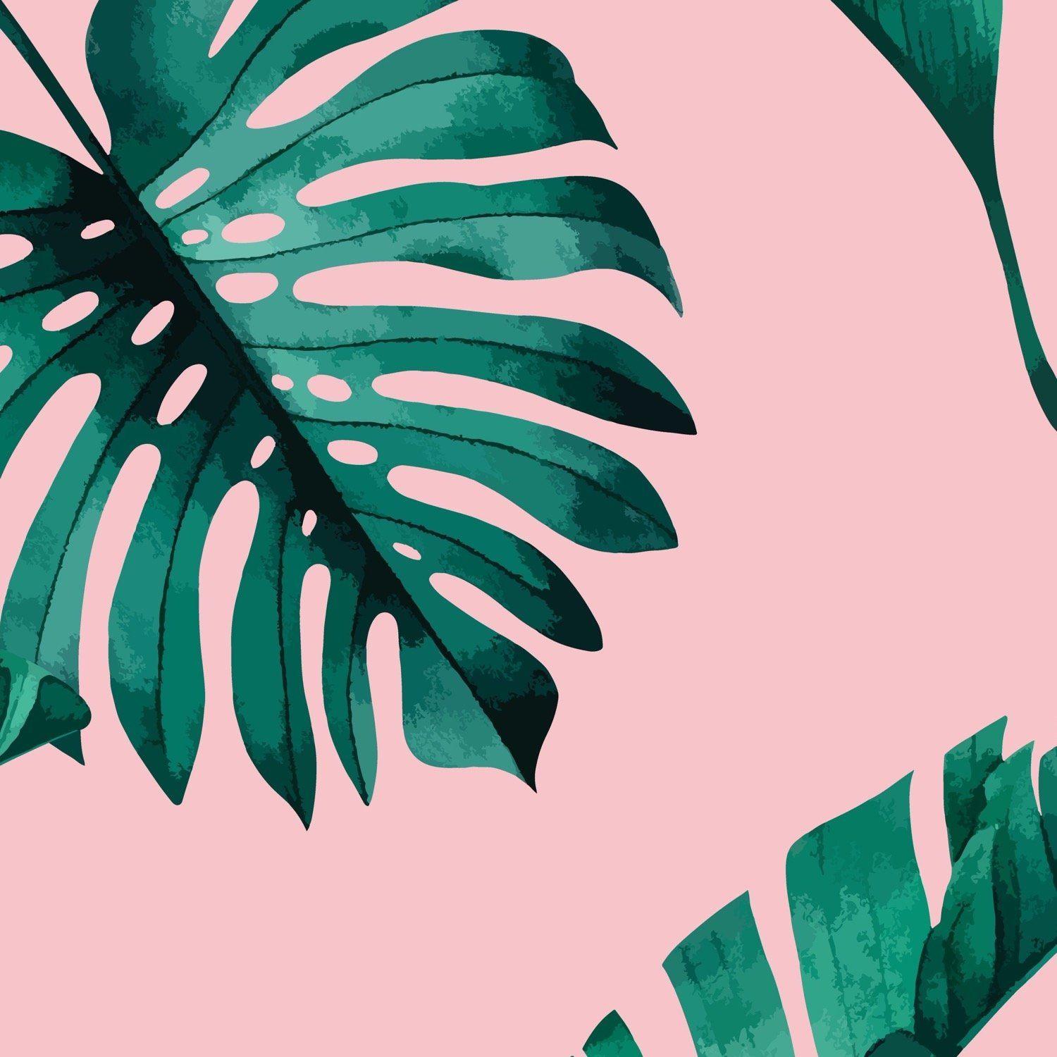 Hãy nhấn vào ảnh liên quan đến từ khóa Tropic Pink Wallpapers để trải nghiệm một trải nghiệm tuyệt vời với những hình nền tuyệt đẹp, sắc màu tươi sáng và sống động. Hãy thực sự đắm chìm vào không gian ảo này với những bức hình đầy đủ hương vị của mùa hè và nét cực kì đặc trưng của châu Á.
