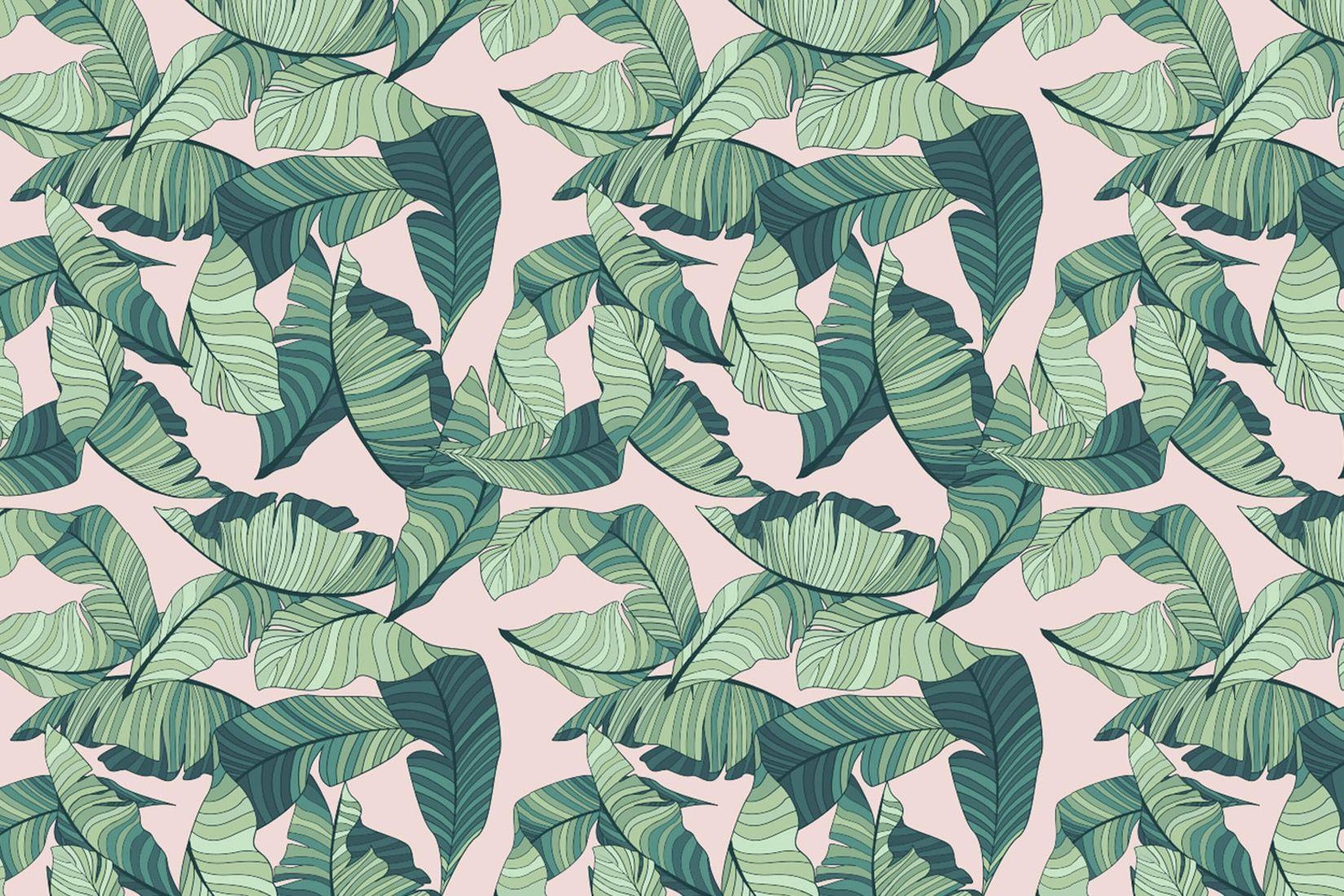 Shop Maui Palm Pink Tropical Australian Made Wallpaper Online  Olive et  Oriel