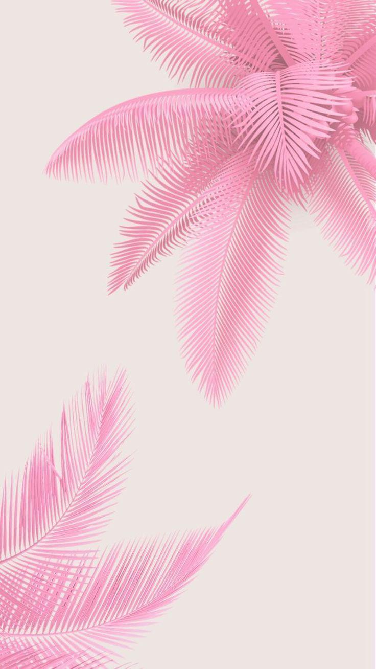 Tropical Pink Wallpapers - Top Free Tropical Pink Backgrounds