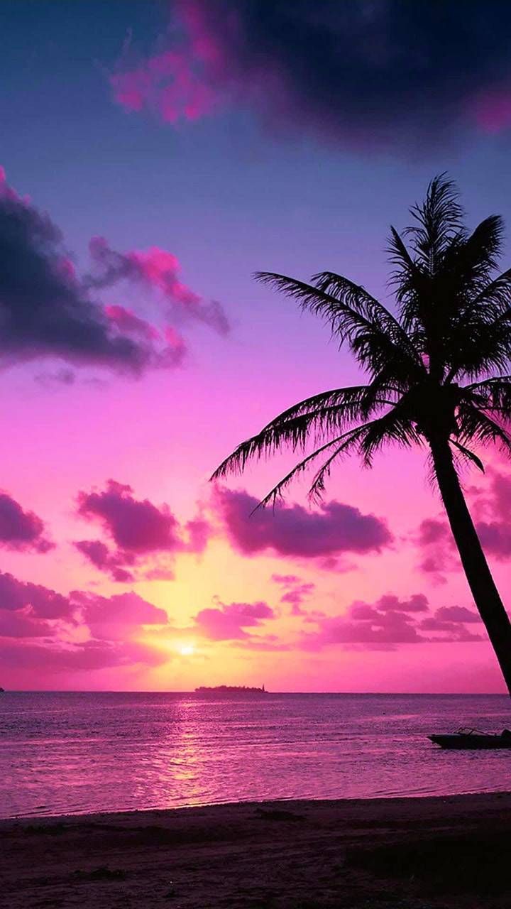 Pink Tropical Beach Wallpaper