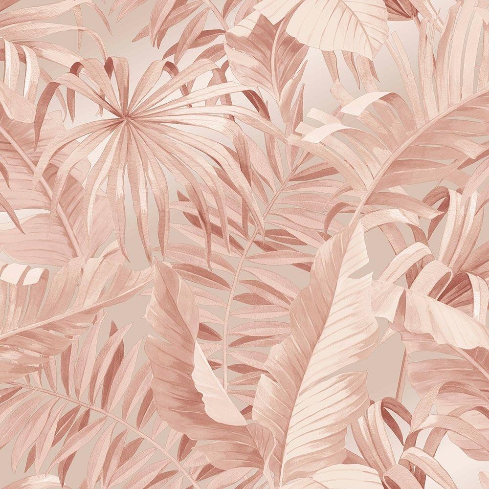 Tropical Pink Wallpapers Top Free Tropical Pink Backgrounds