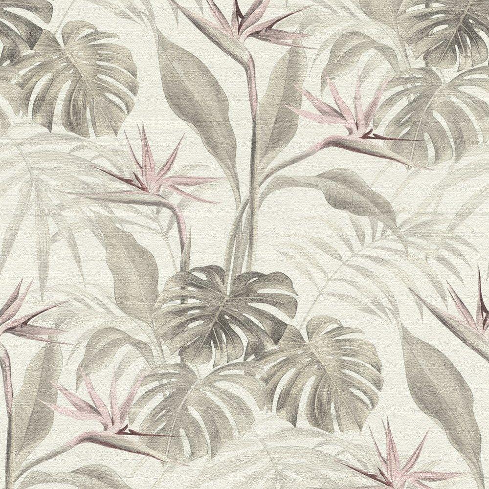 Tropical Pink Wallpapers Top Free Tropical Pink Backgrounds