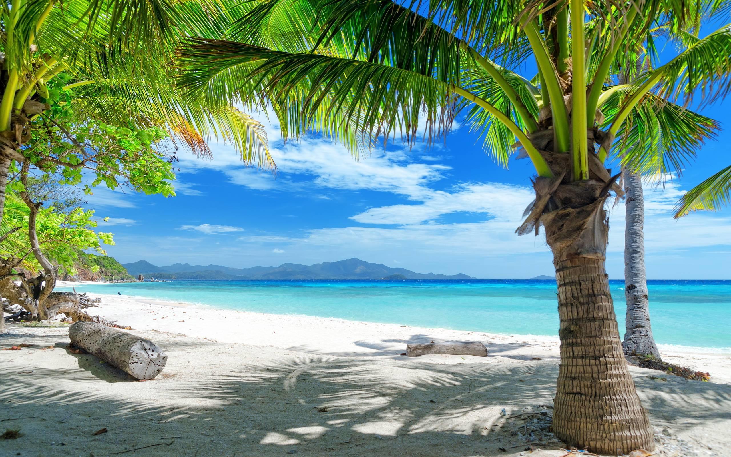 2560x1600 Tropical Beaches Desktop Wallpaper