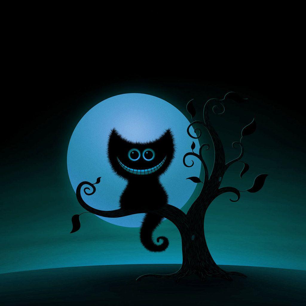 1024x1024 Free download iPad Wallpaper Funny cats Design iPad iPad 2 iPad mini [1024x1024] for your Desktop, Mobile & Tablet. Explore Cat Wallpaper for iPad. Cute Cat Wallpaper for iPad