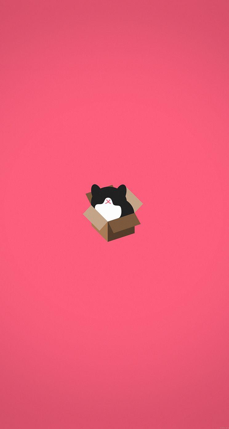 744x1392 cat iPhone 5s Wallpaper. iPhone Wallpaper, iPad wallpaper One