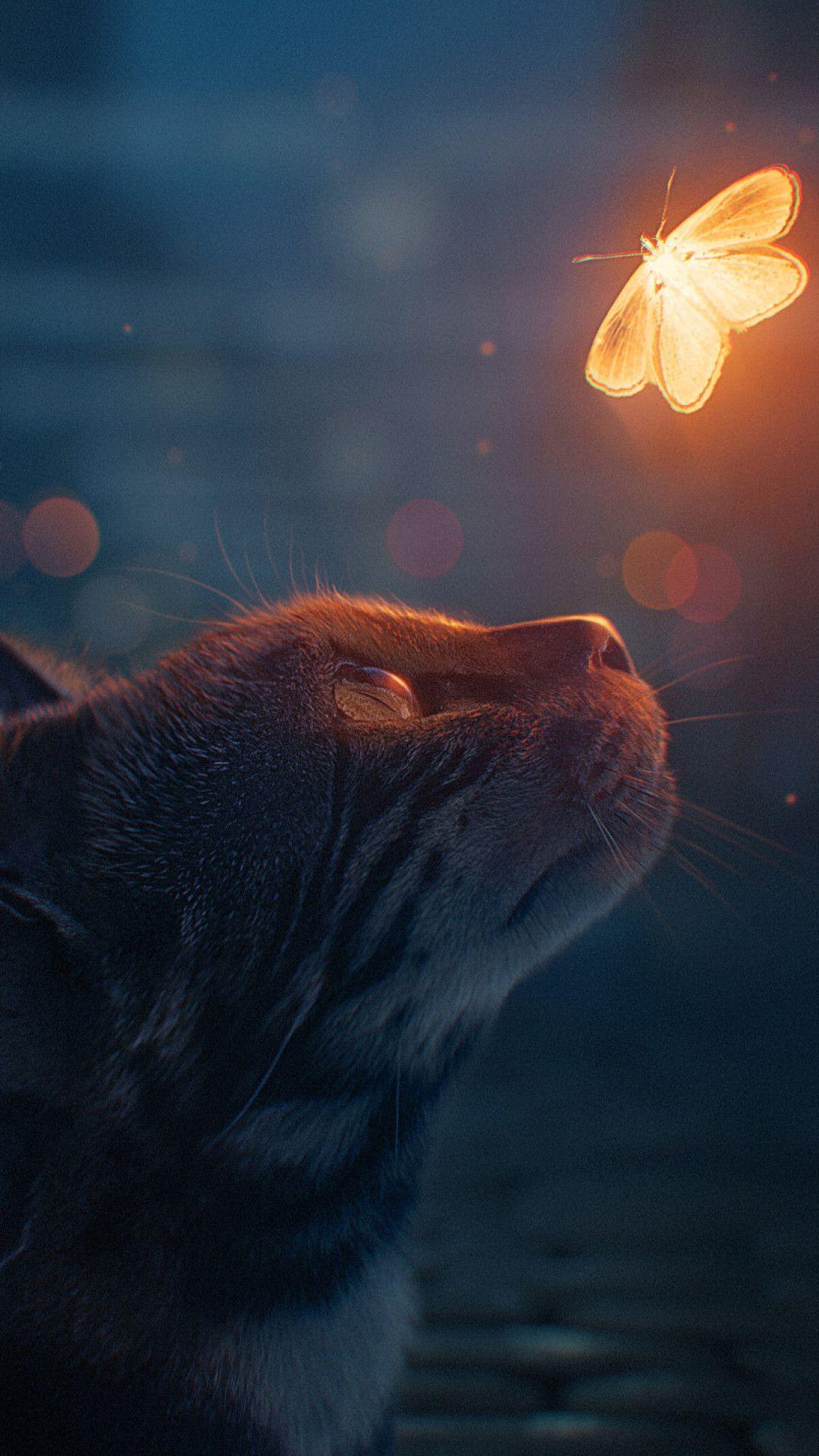 1080x1920 Cat Looking At Butterfly Digital Art Mobile Wallpaper iPhone, Android, Samsung, Pixel, Xiaom. Cat phone wallpaper, iPhone wallpaper, Mobile wallpaper
