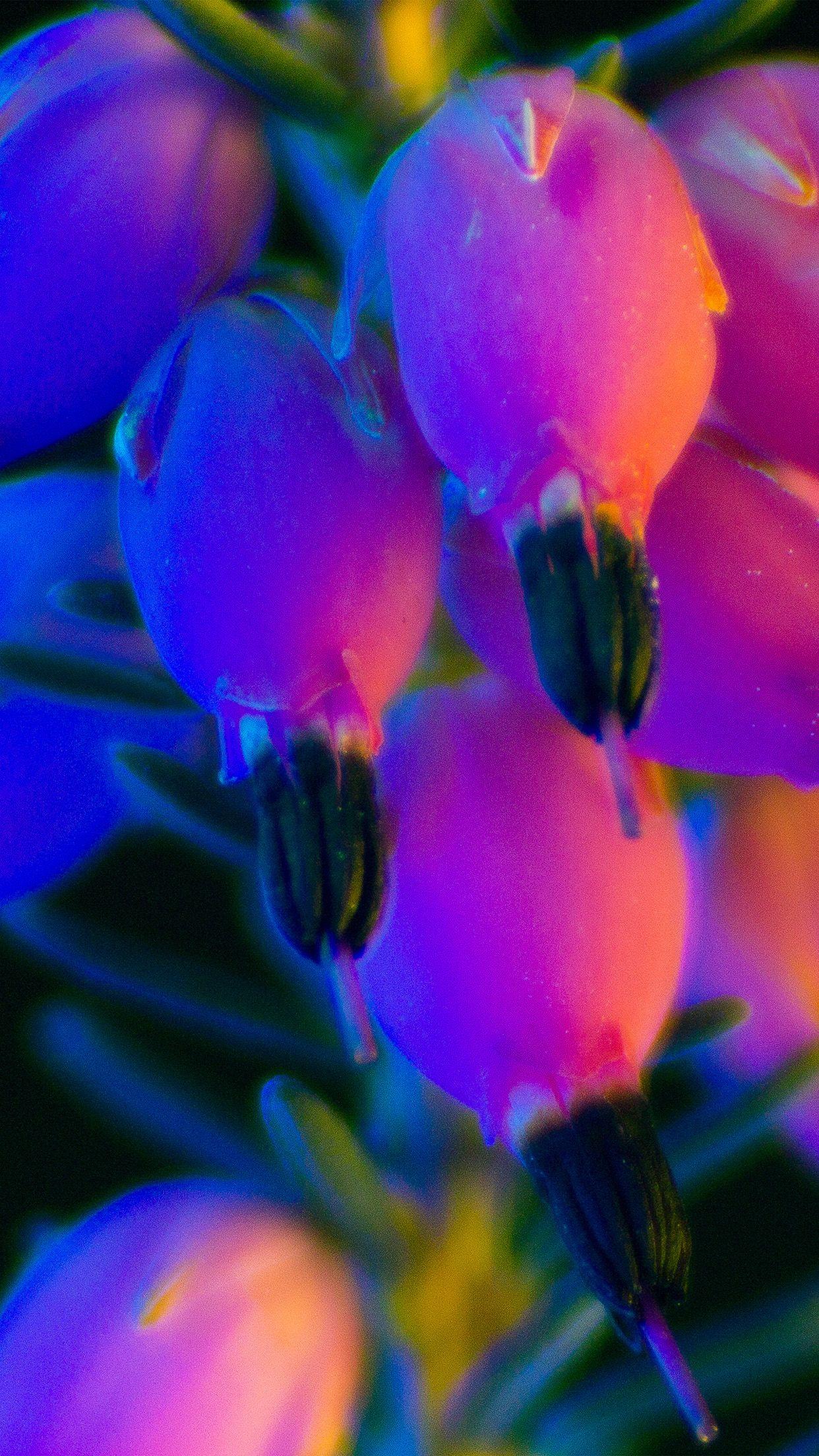 1242x2208 Flower Neon Rainbow Art Dark Wallpaper