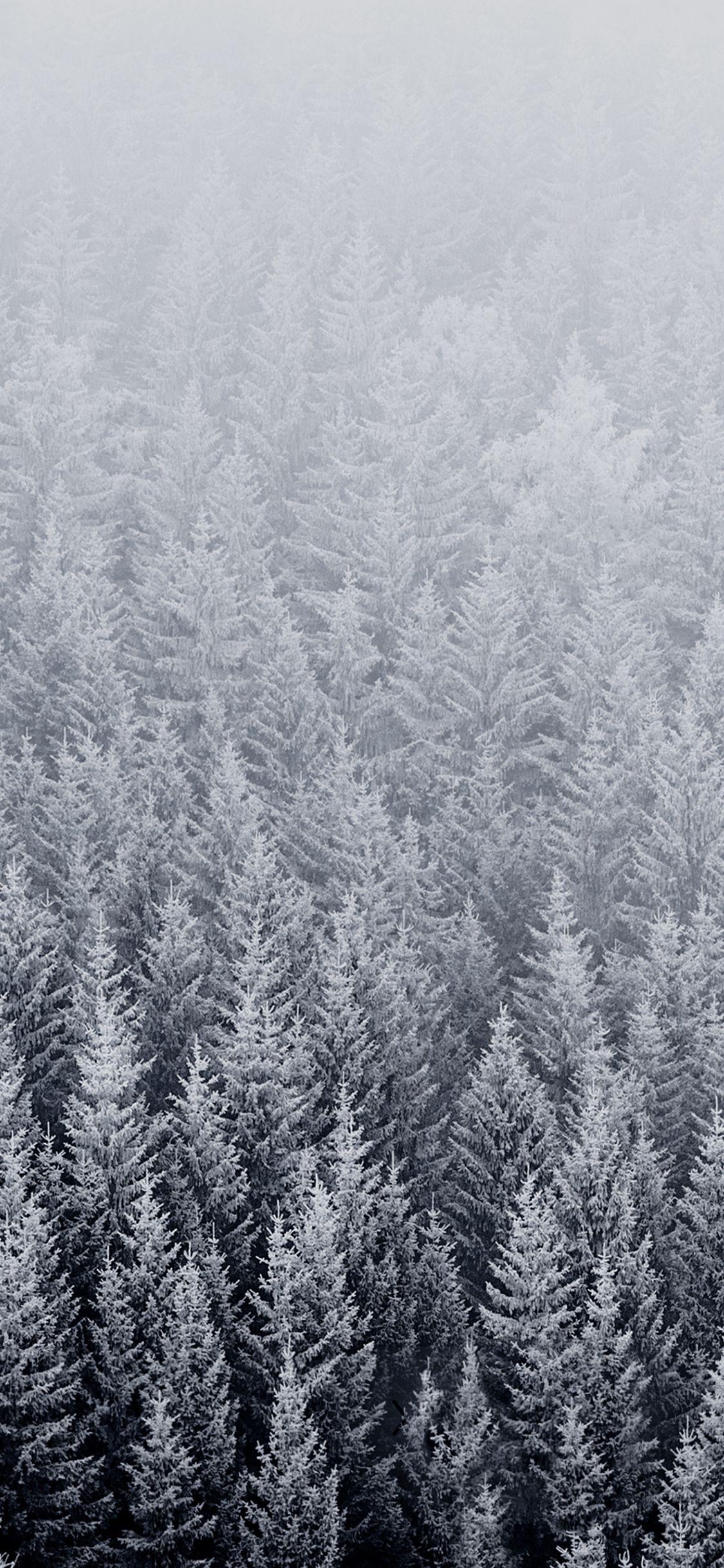 1125x2436 Original Apple wallpaper optimized for your iPhone