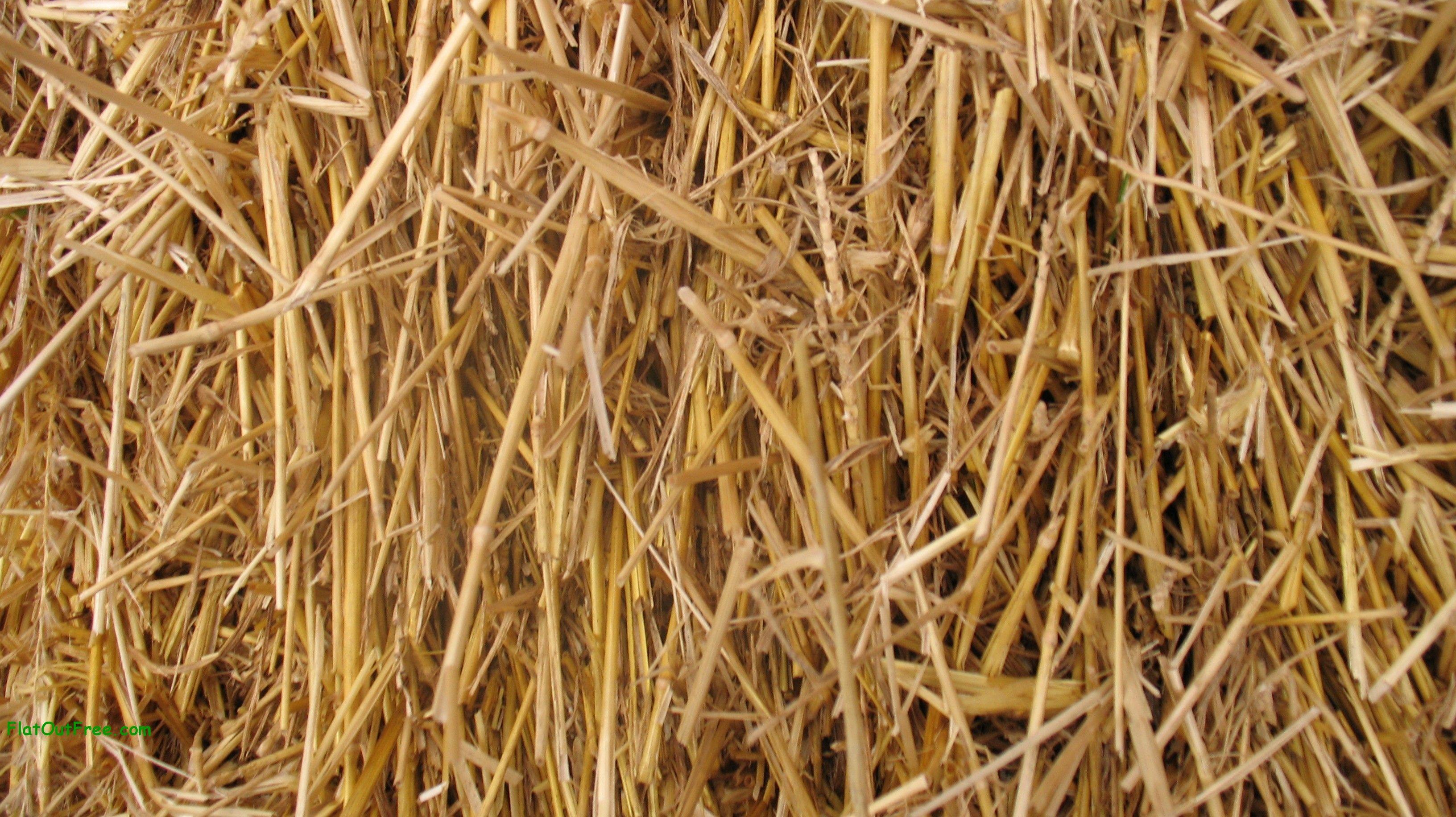 Straw Wallpapers - Top Free Straw Backgrounds - WallpaperAccess