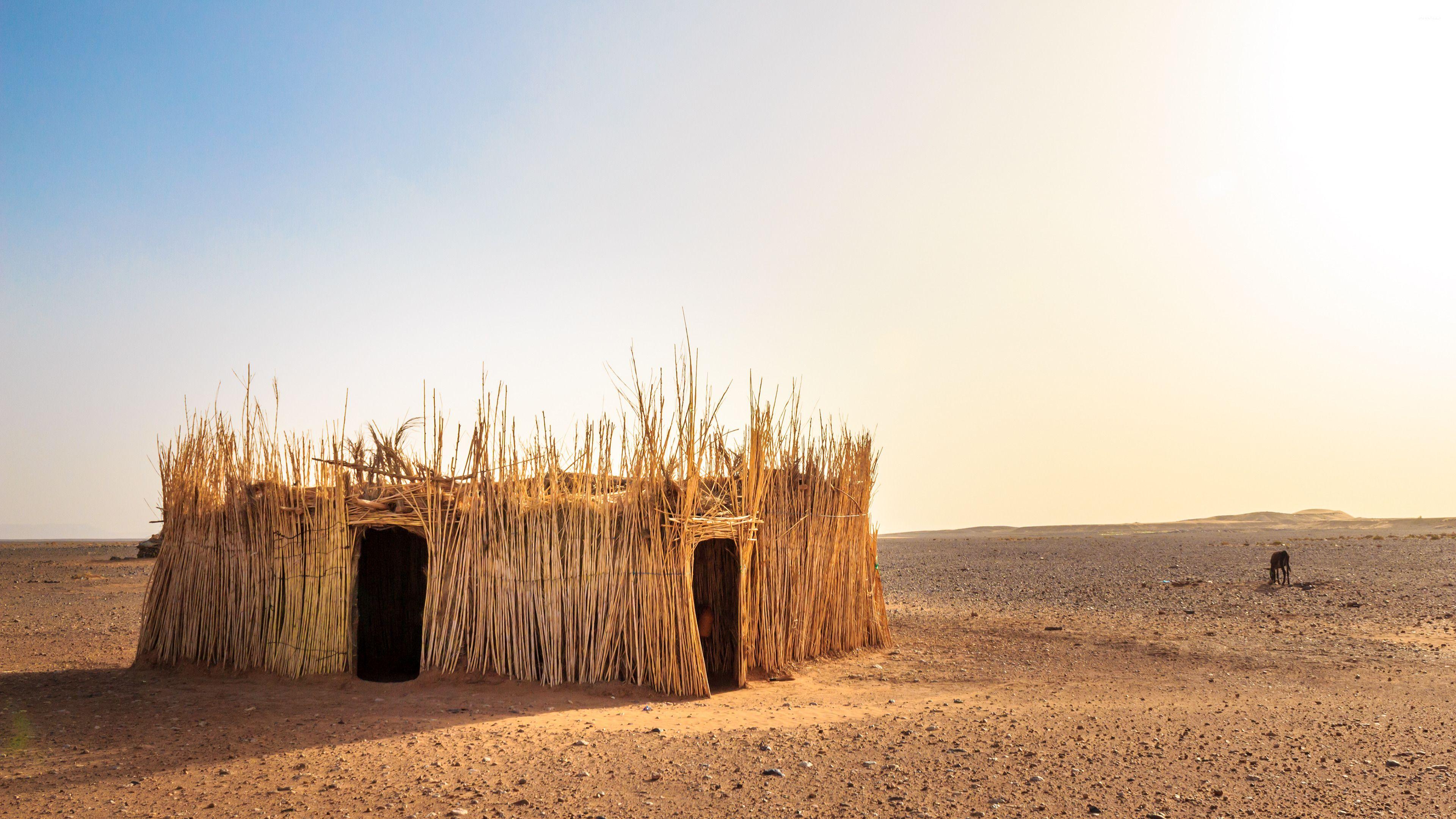 3840x2160 Straw shelter wallpaper wallpaper