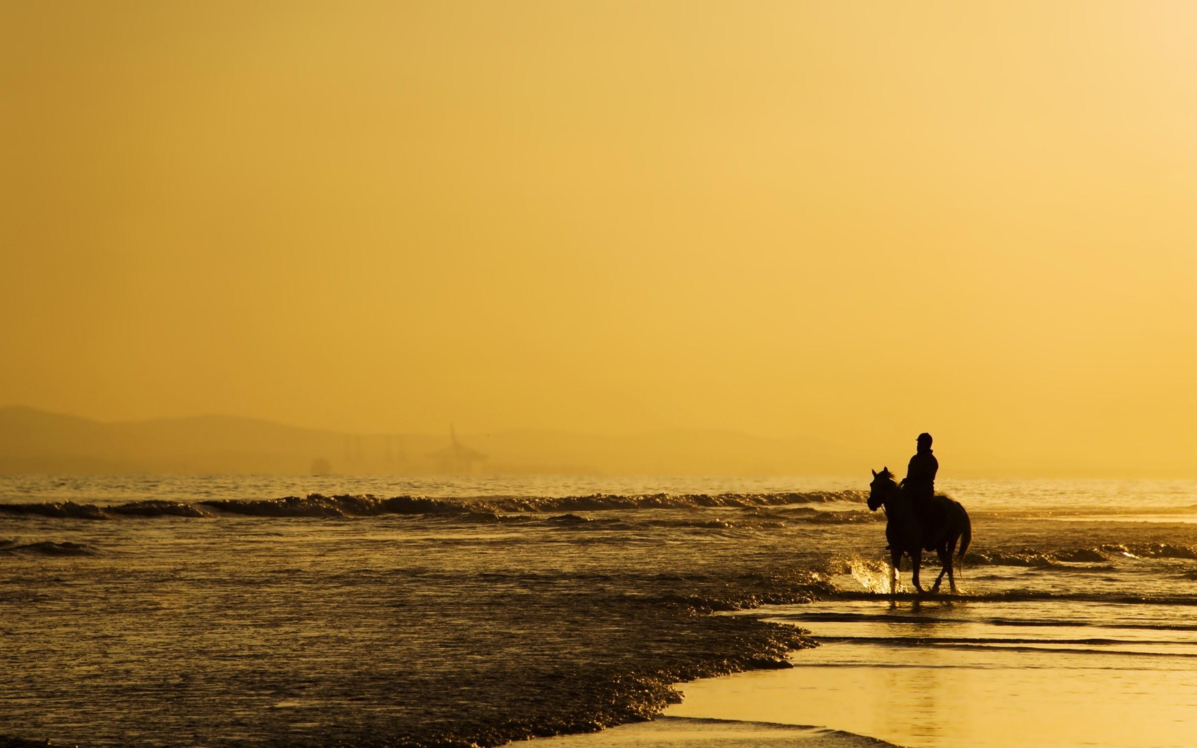 3840x2400 Sea beaches horse sky yellow landscapes nature earth alone lonely emotions horseman rider thinking wallpaperx2400